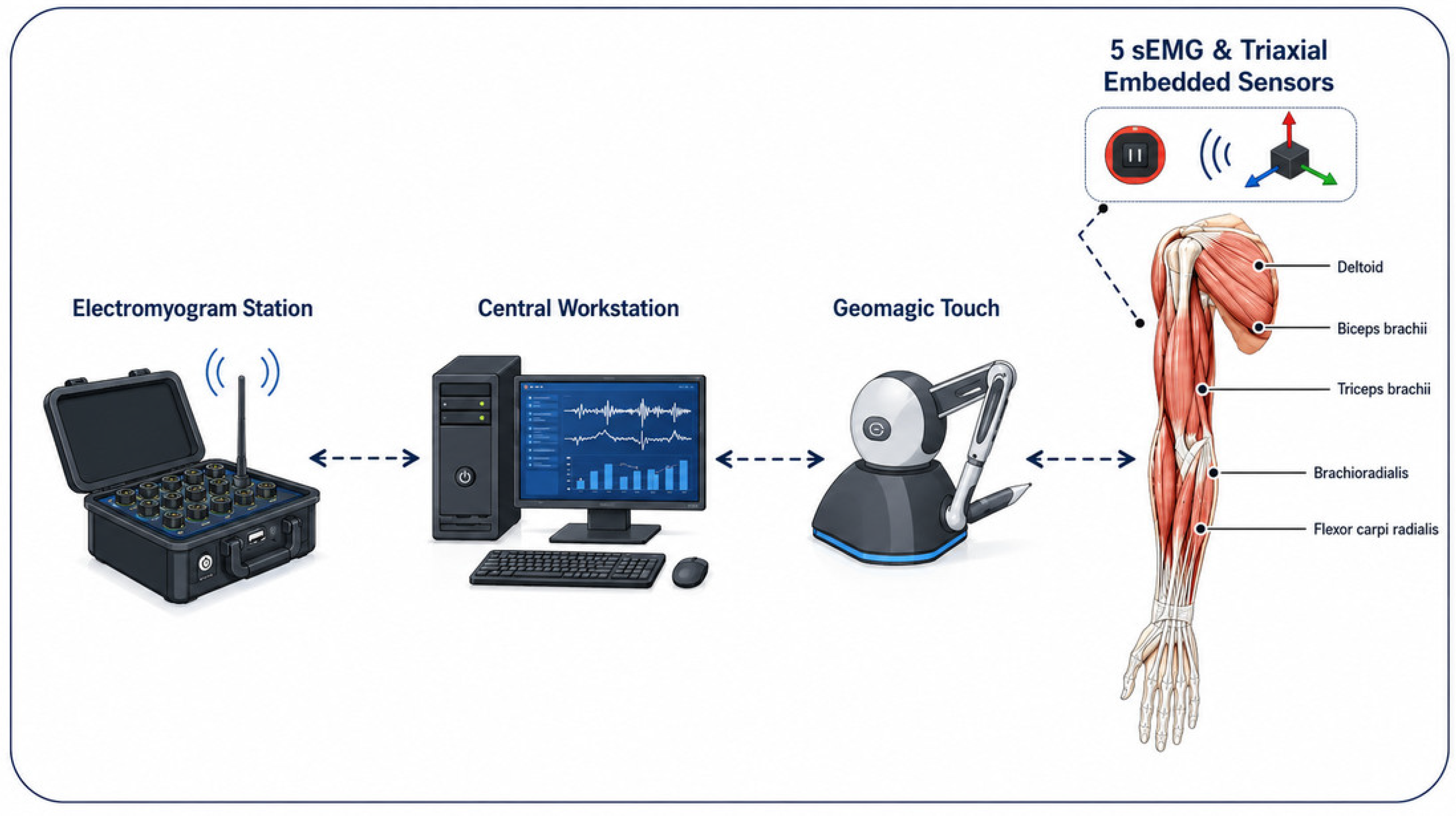 Bioengineering 13 00982 g002