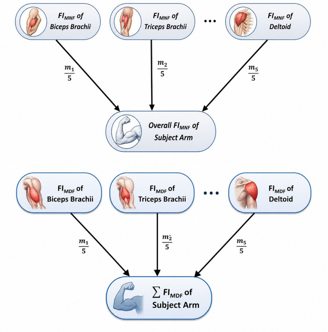 Bioengineering 13 00982 g004