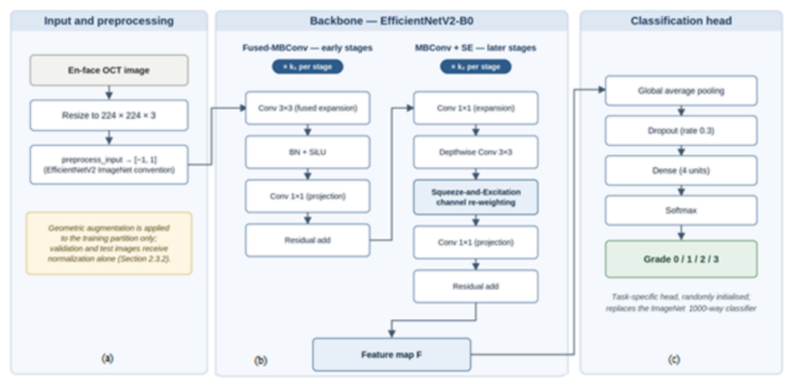 Bioengineering 13 00984 g003