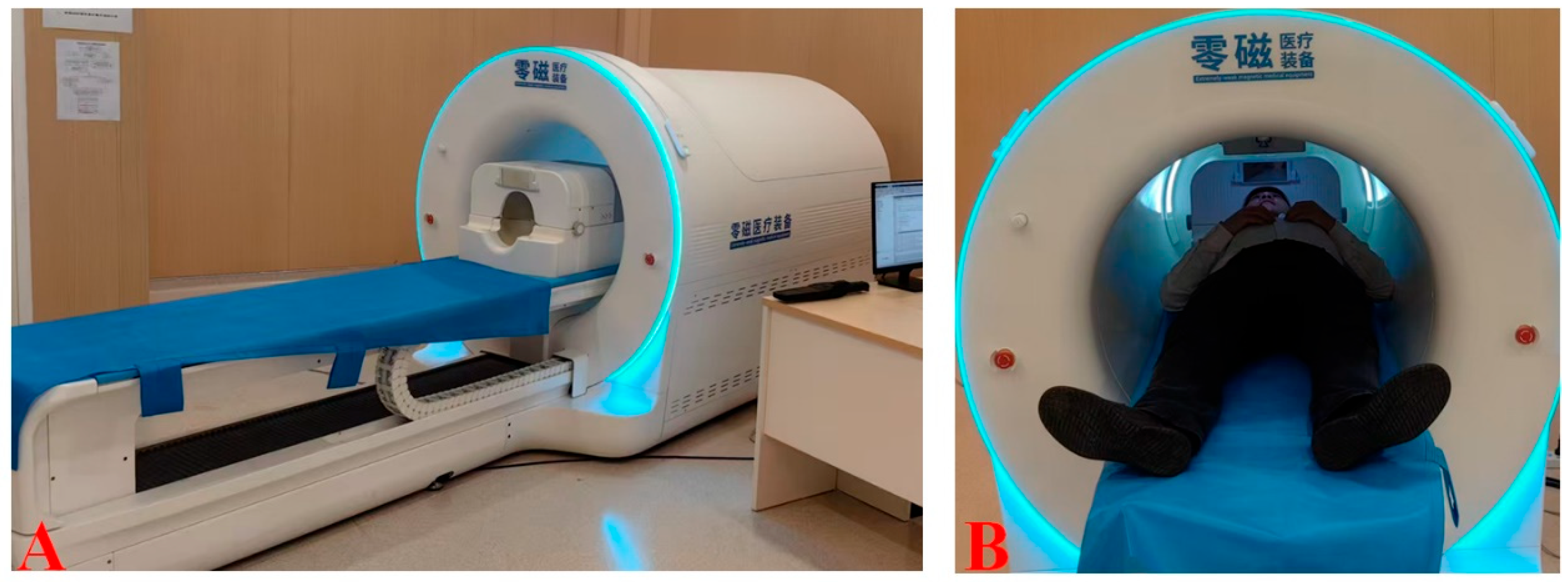 Bioengineering 13 00988 g001