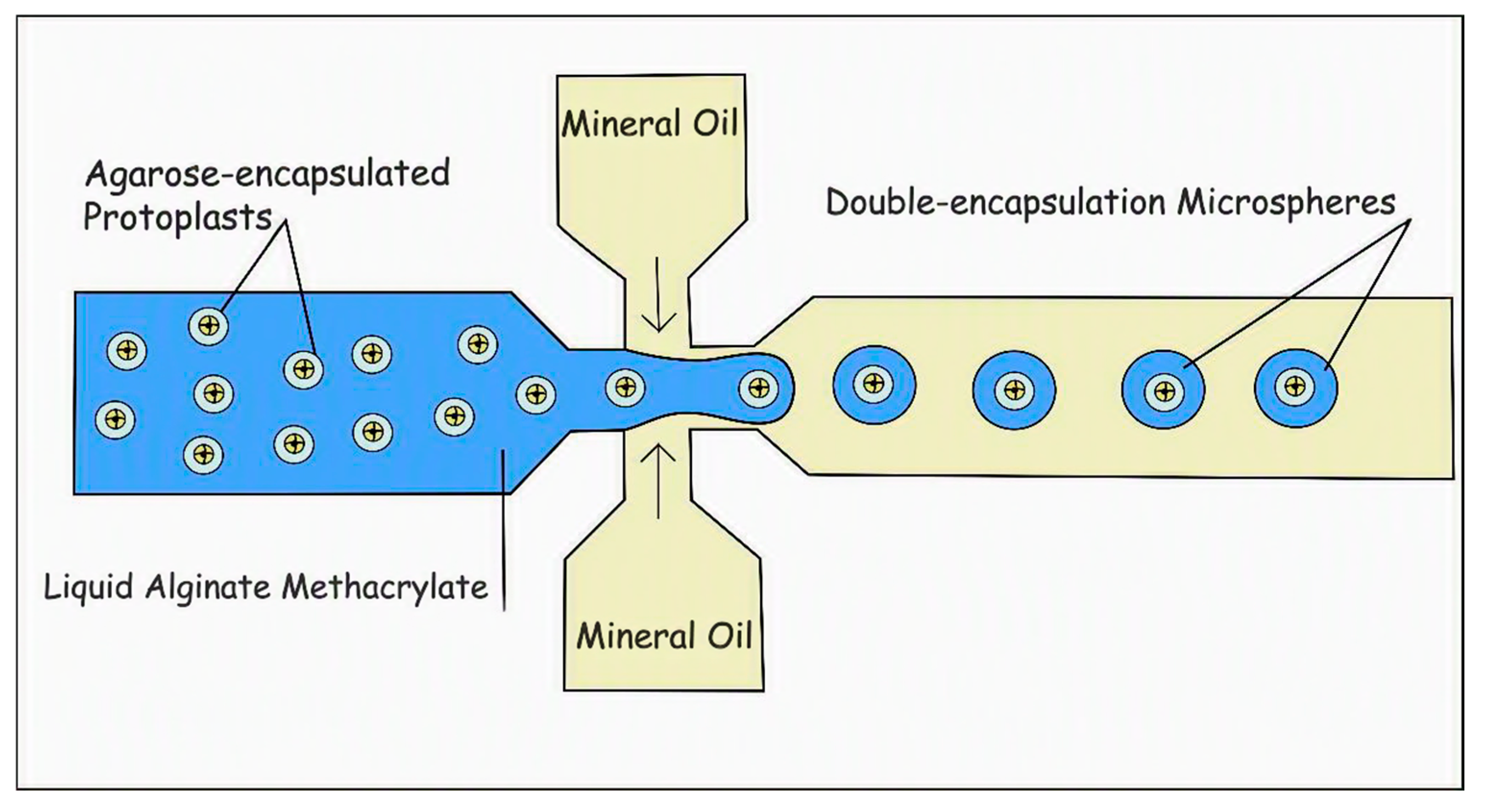 Bioengineering 13 01003 g004 Bioengineering 13 01003 g004
