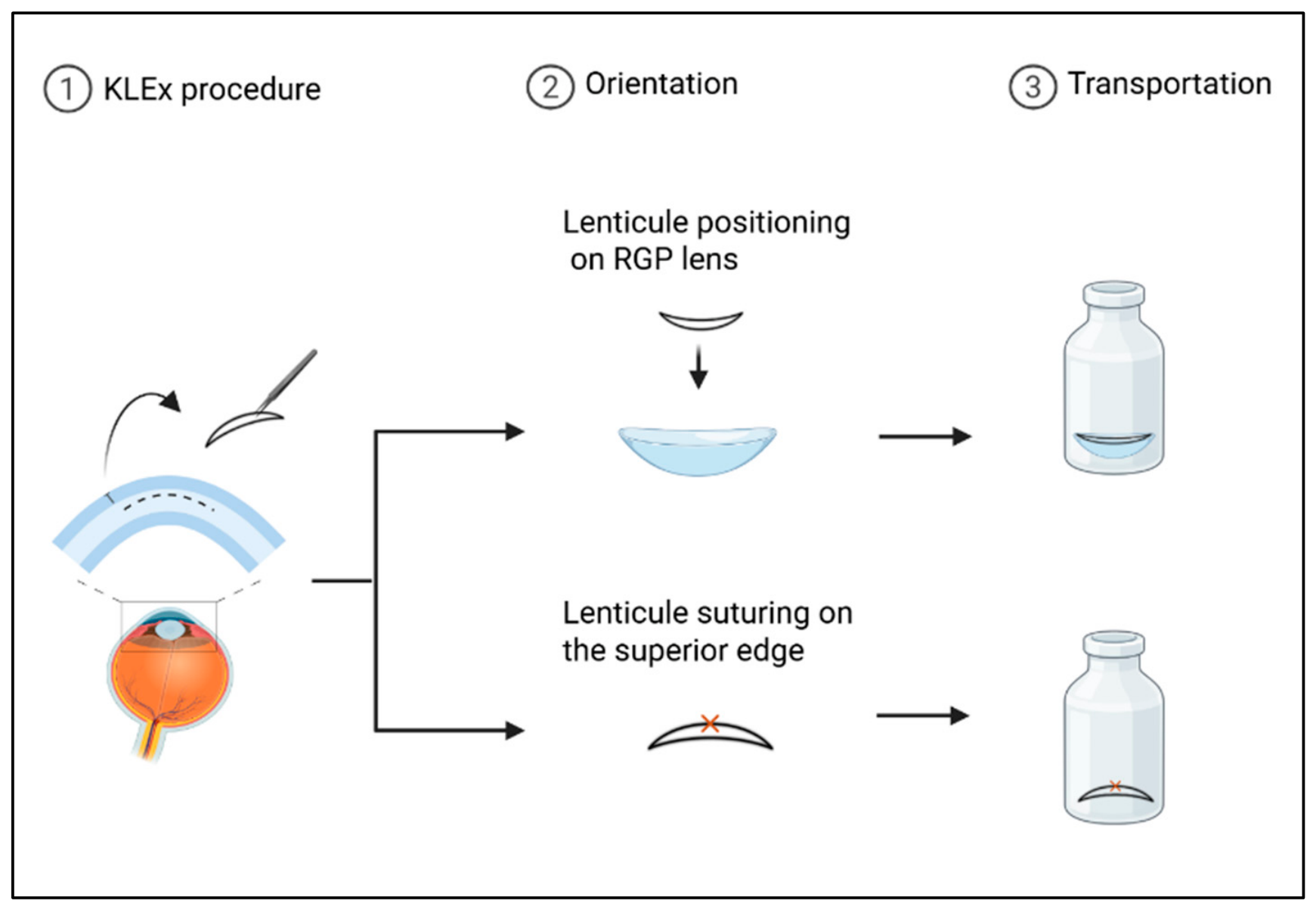 Bioengineering 13 01075 g003