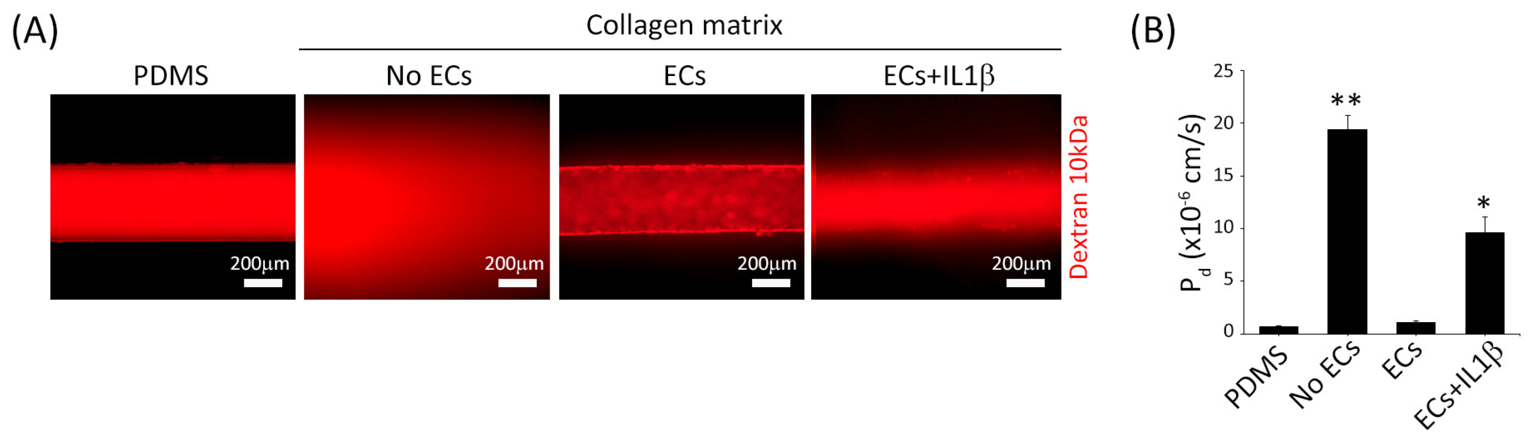 Bioengineering 13 01076 g007
