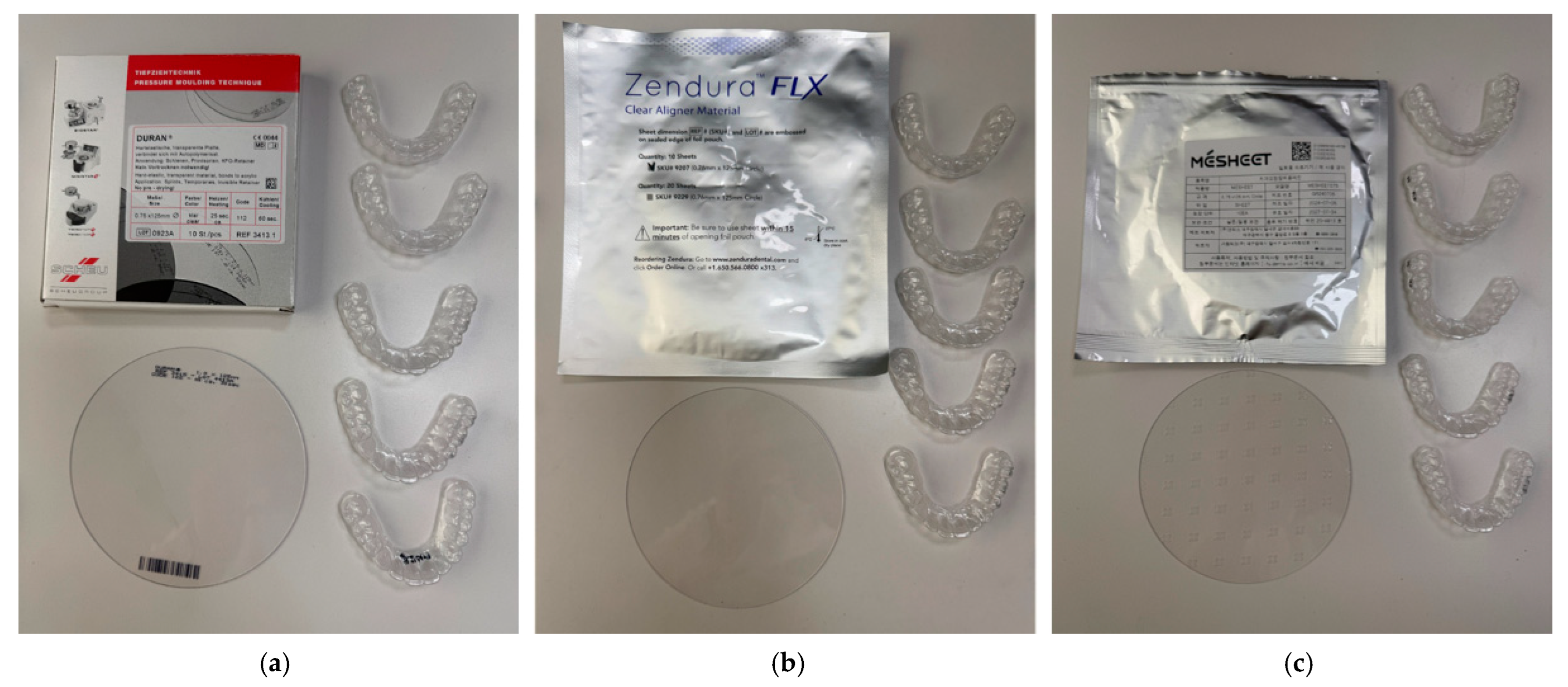 Bioengineering 13 01081 g001 Bioengineering 13 01081 g001