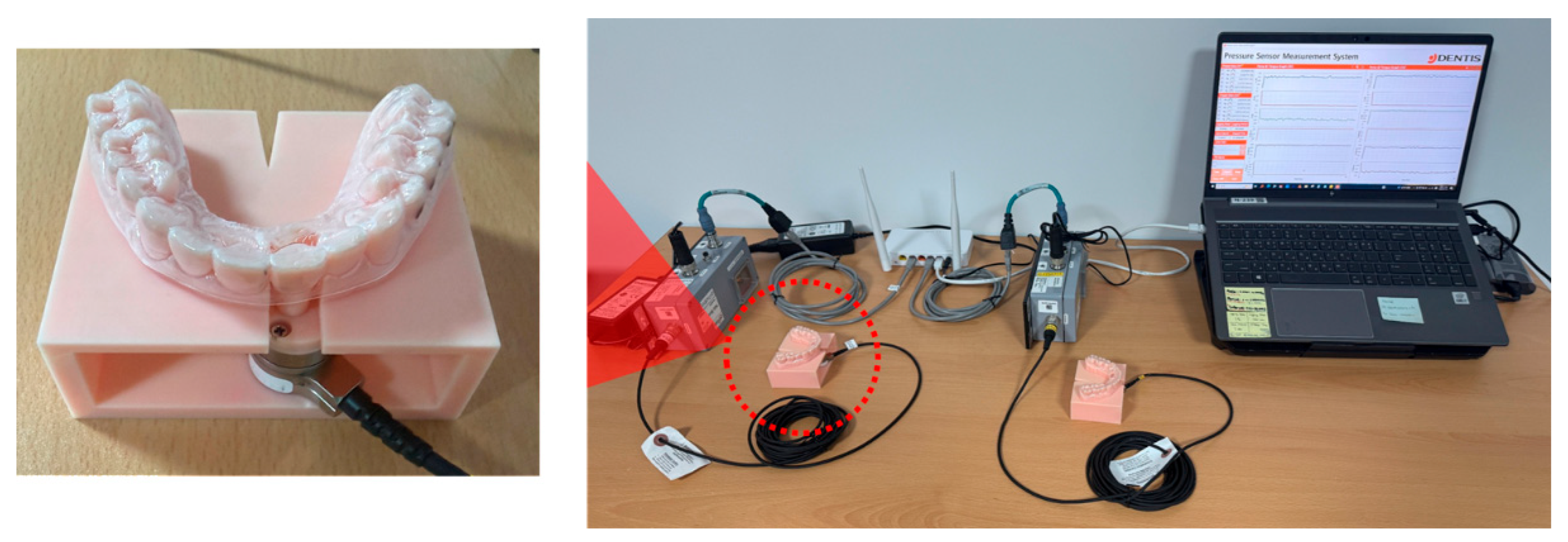 Bioengineering 13 01081 g003 Bioengineering 13 01081 g003