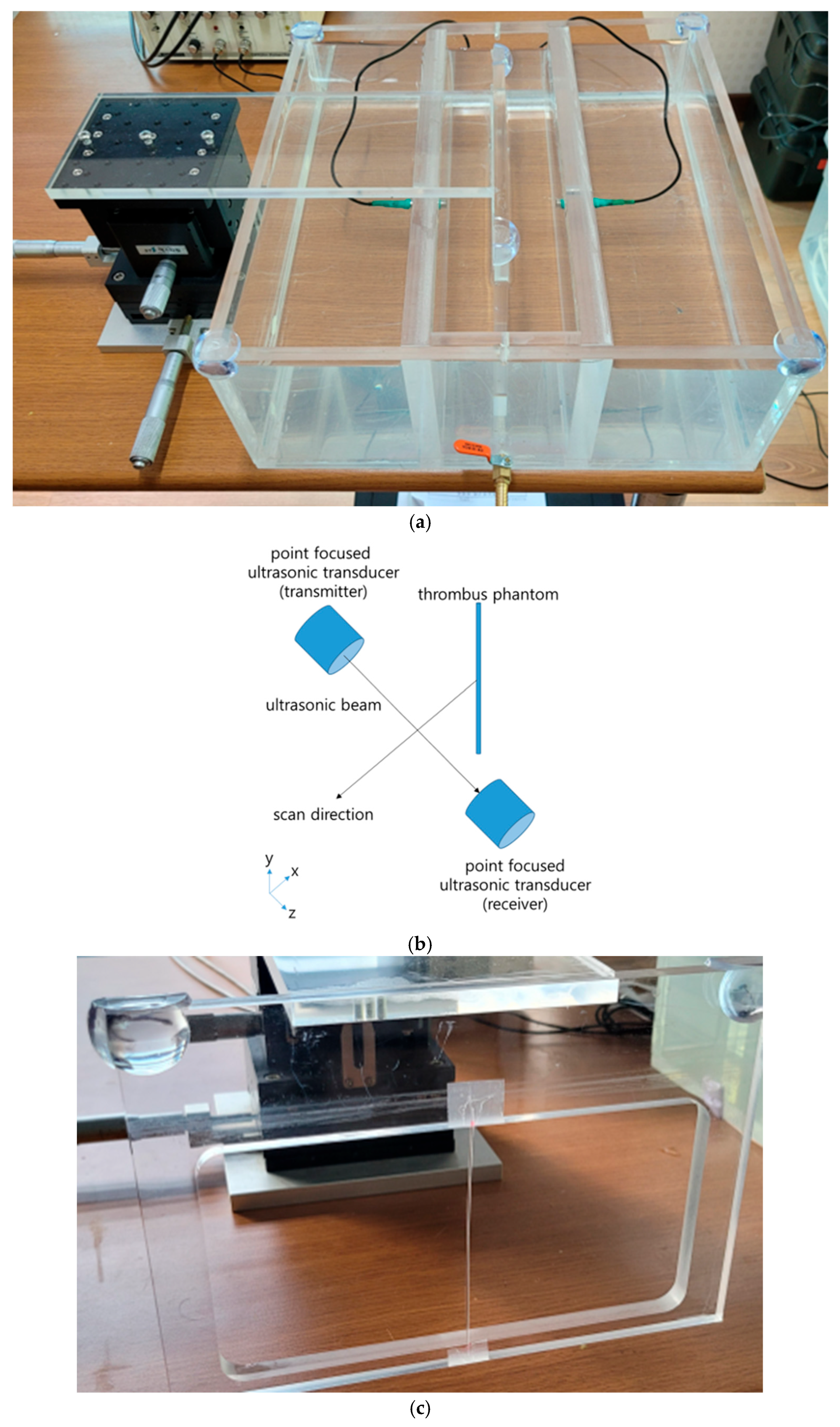 Bioengineering 13 01122 g001 Bioengineering 13 01122 g001