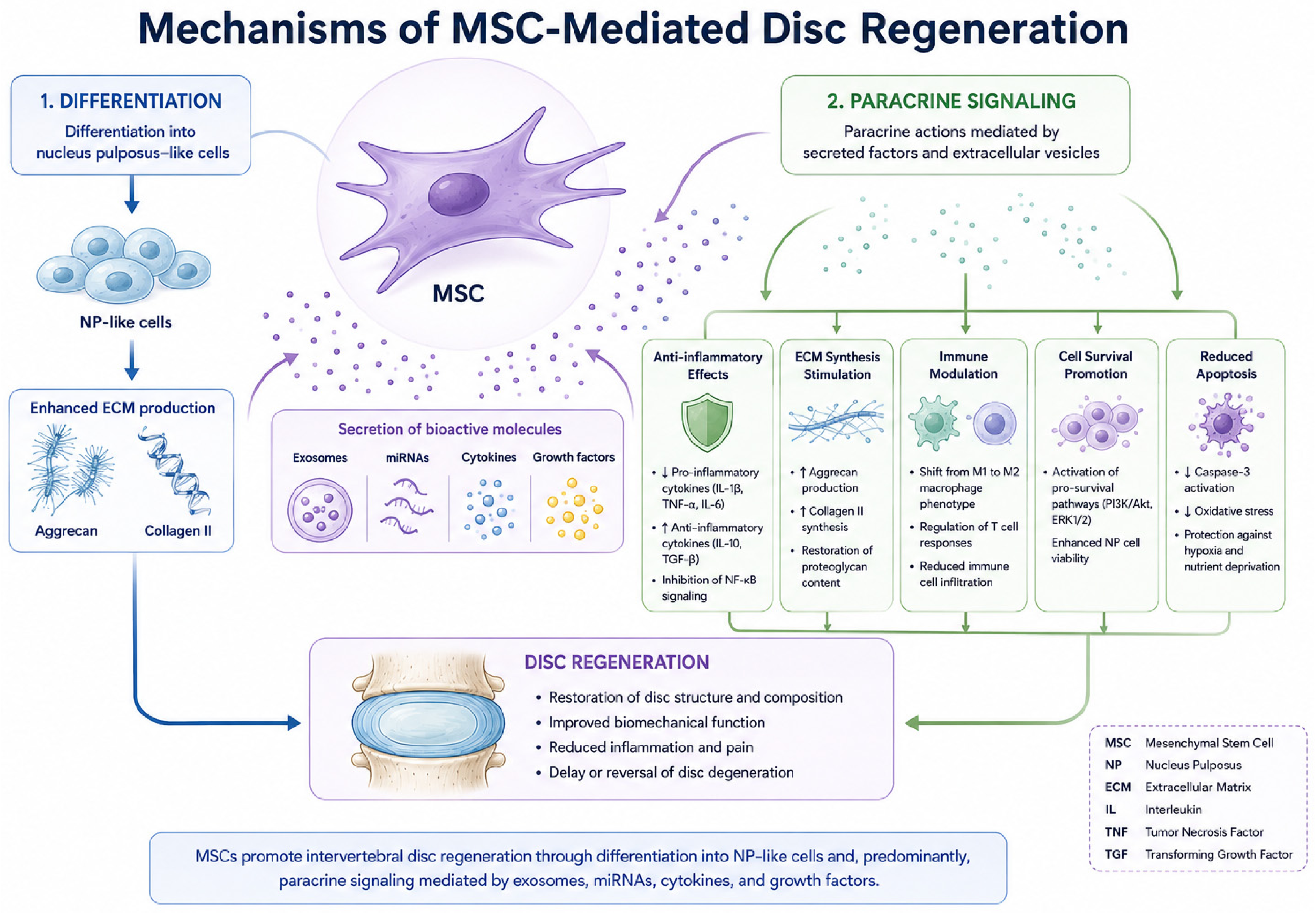 Bioengineering 13 01234 g002