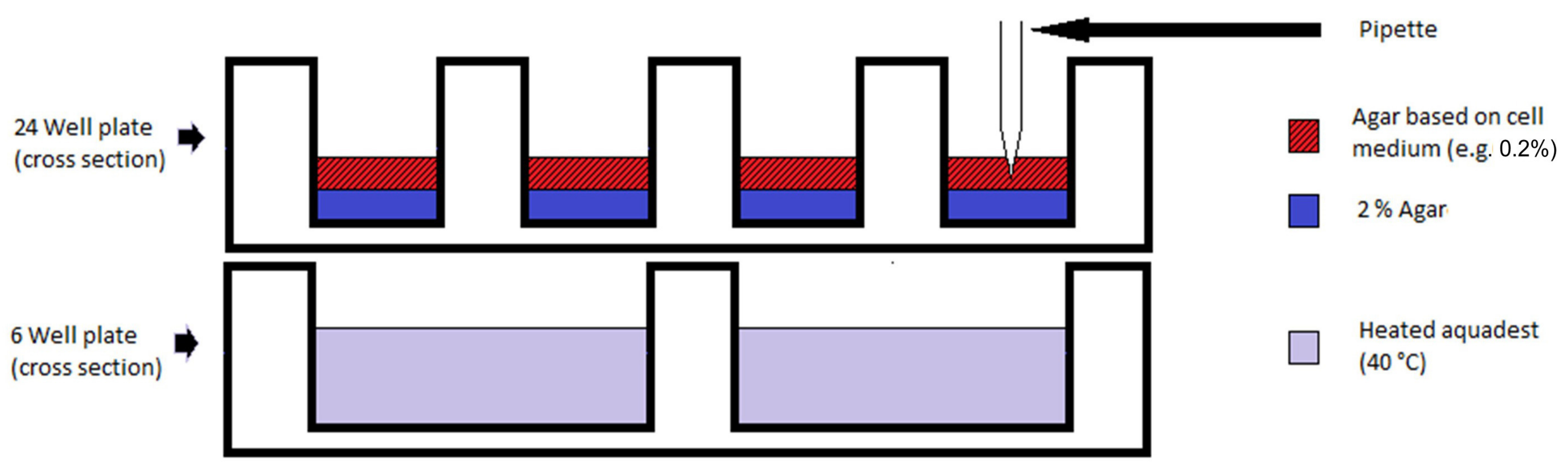 Bioengineering 13 01242 g001 Bioengineering 13 01242 g001