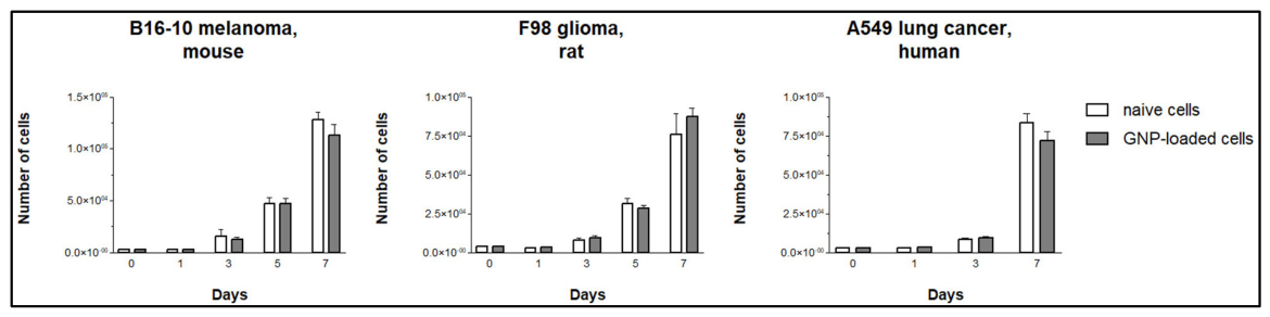 Bioengineering 13 01242 g004 Bioengineering 13 01242 g004