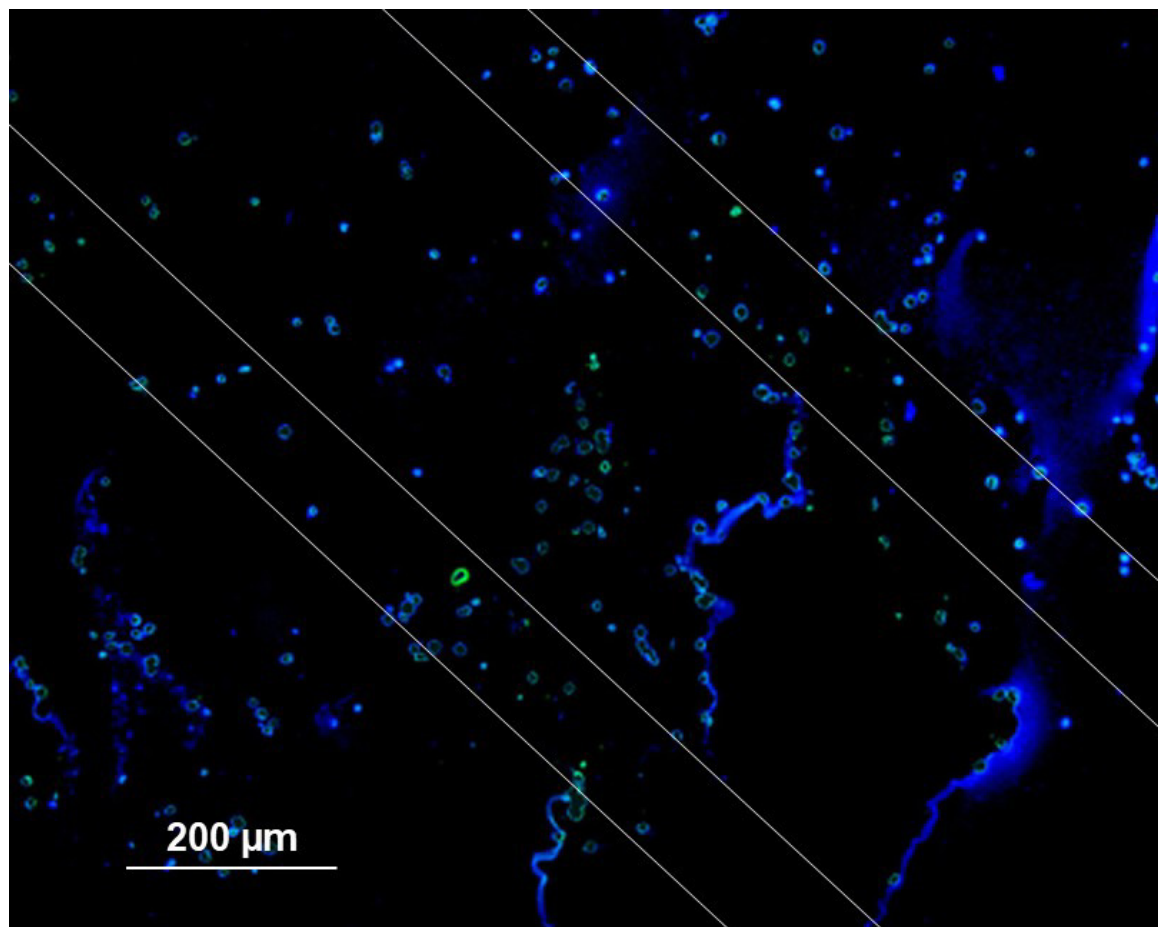 Bioengineering 13 01242 g008 Bioengineering 13 01242 g008