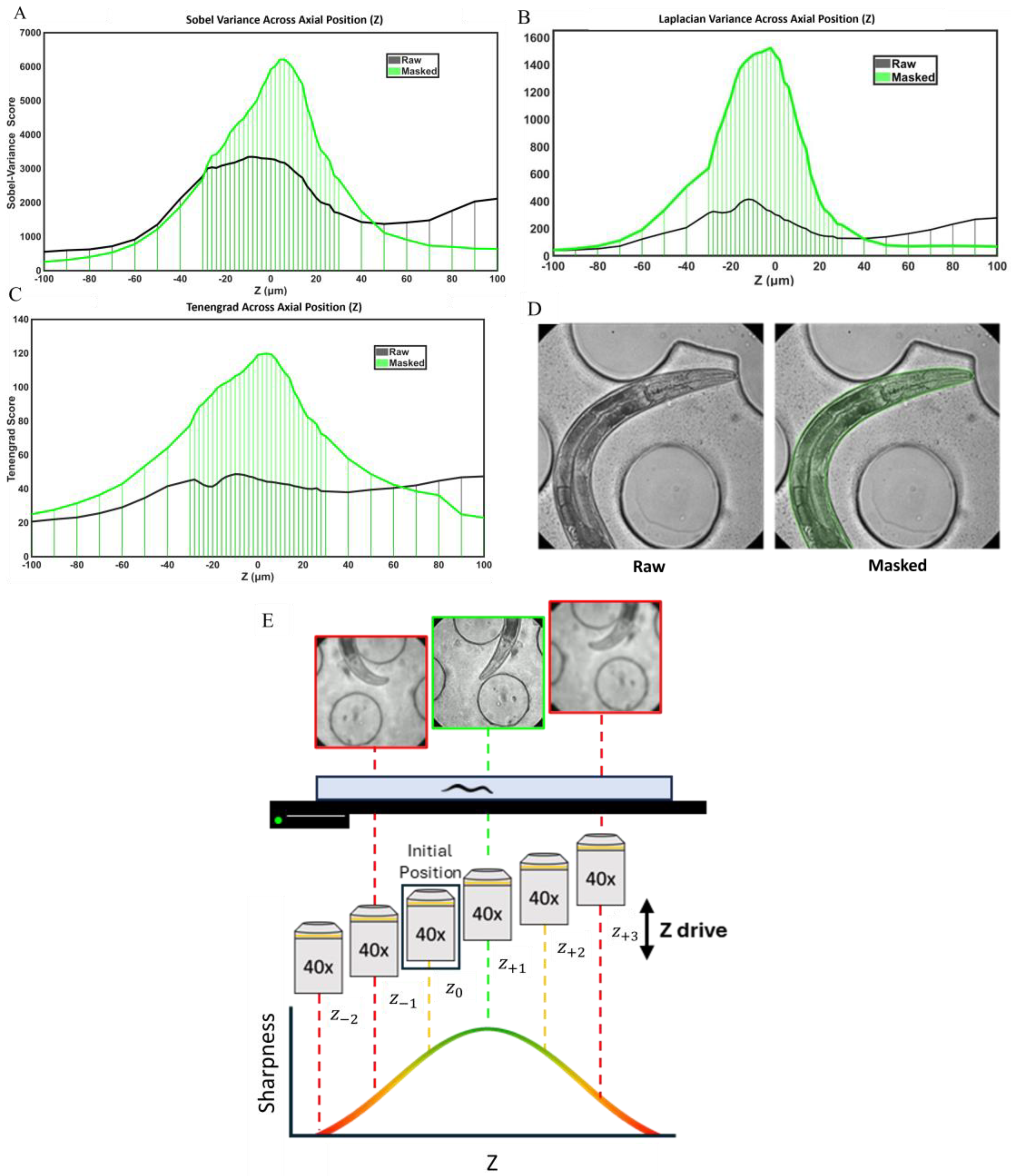 Bioengineering 13 01261 g003 Bioengineering 13 01261 g003