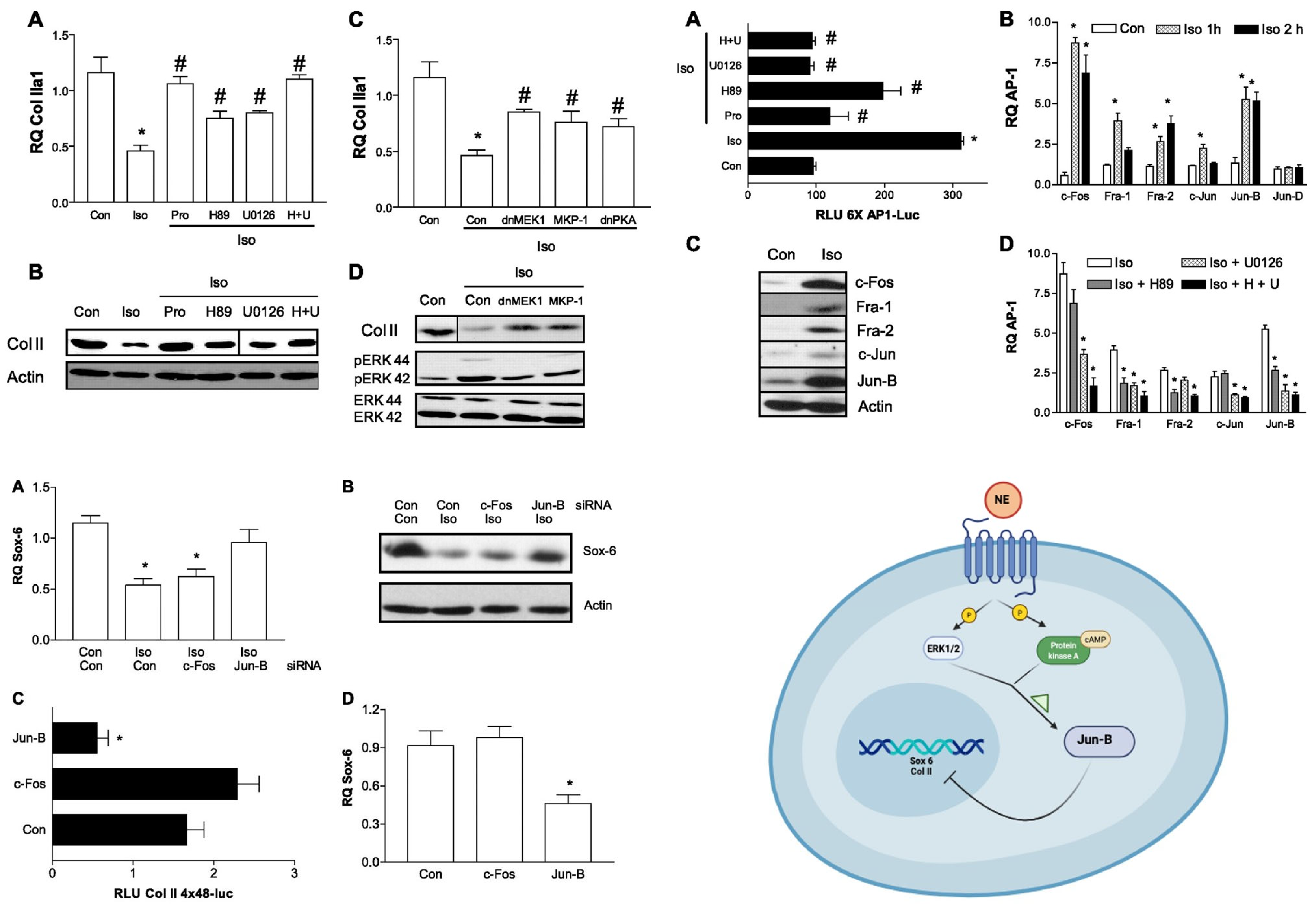 Bioengineering 13 01262 g002 Bioengineering 13 01262 g002