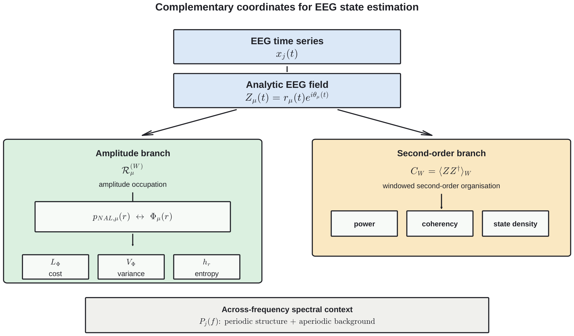 Neural State Geometry: Unifying Amplitude Landscapes, Coherency ...