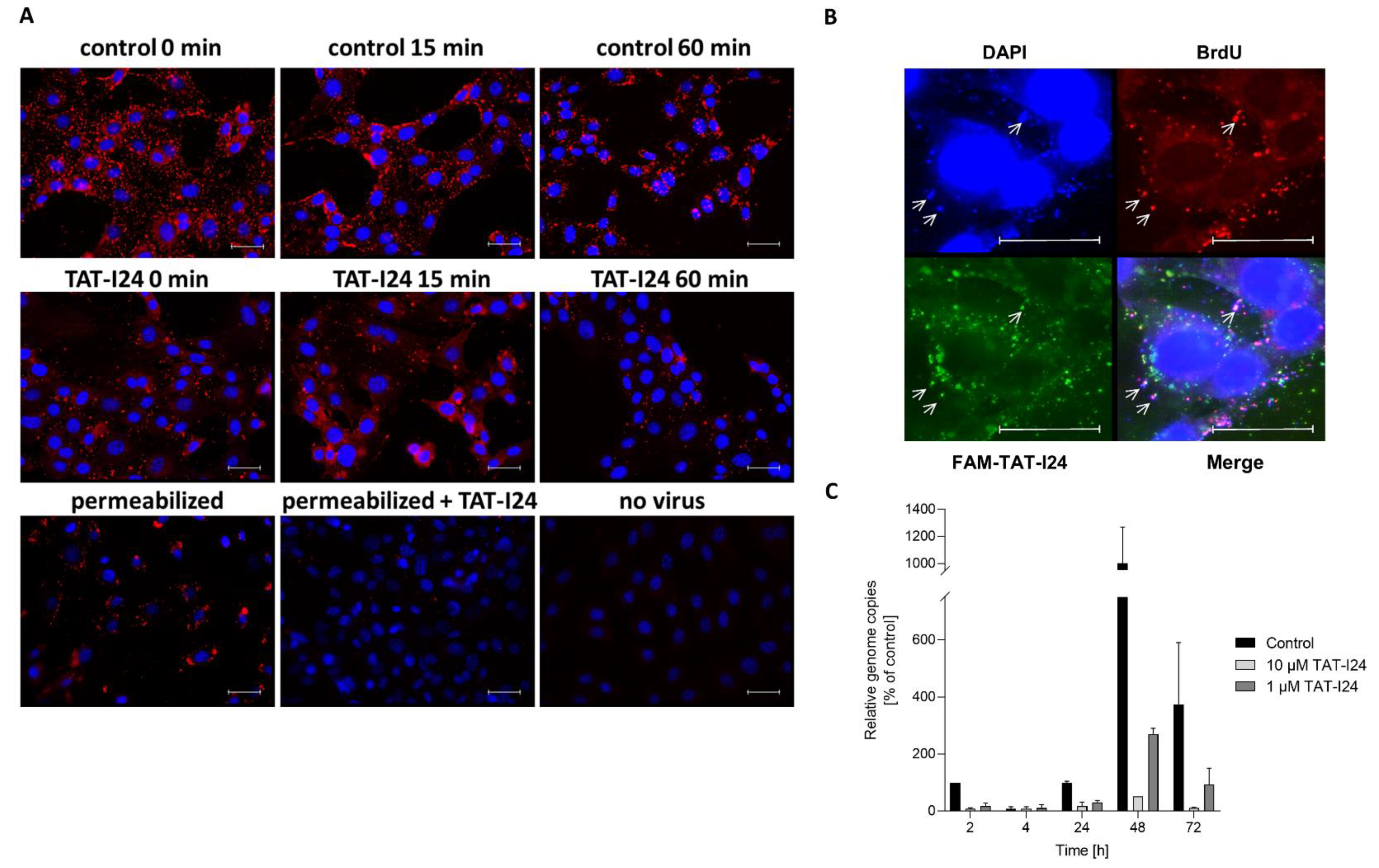 Biologics 01 00003 g007