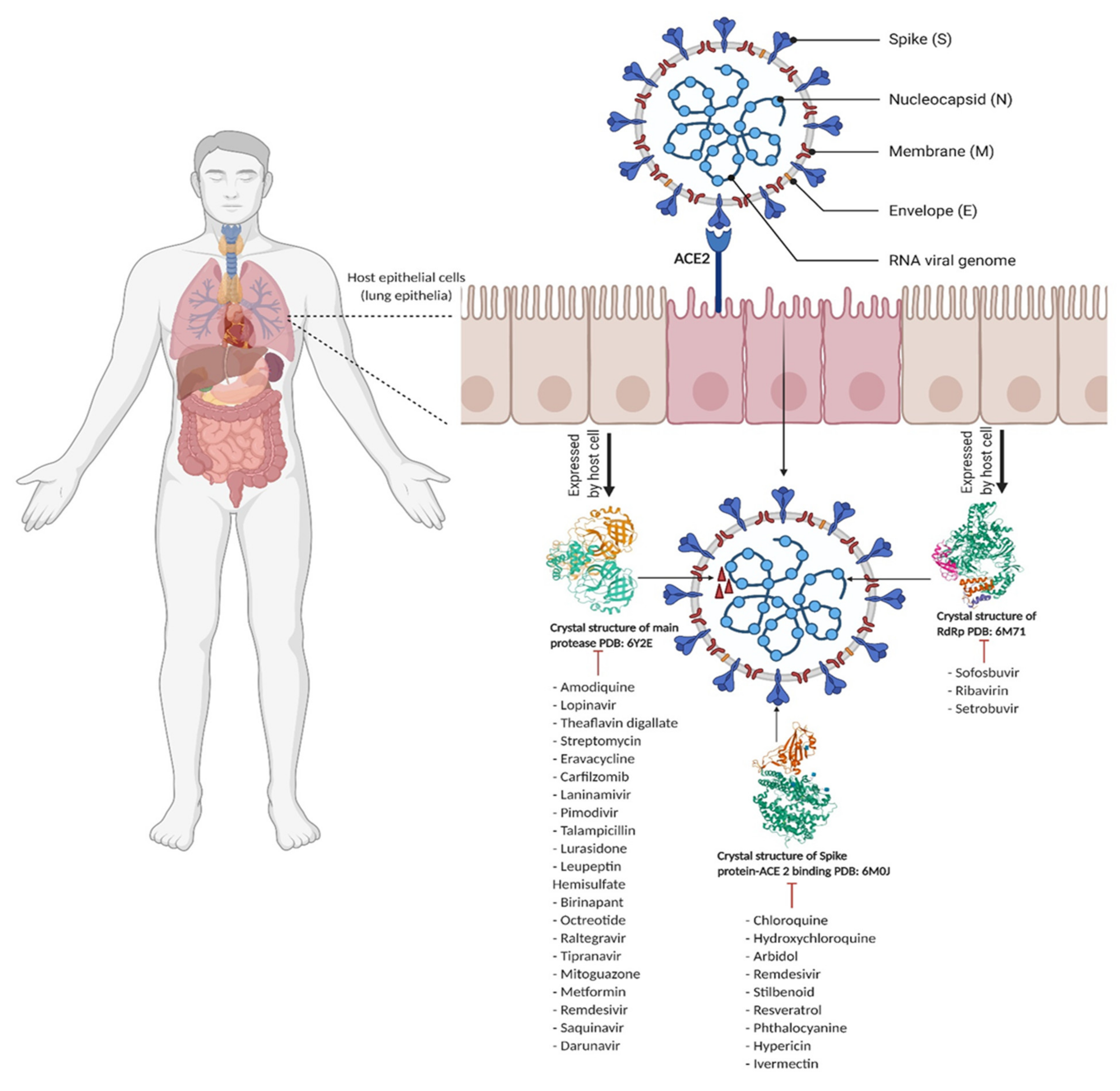Biologics 01 00007 g001
