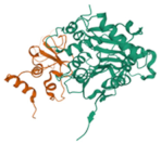 Biologics 01 00007 i005