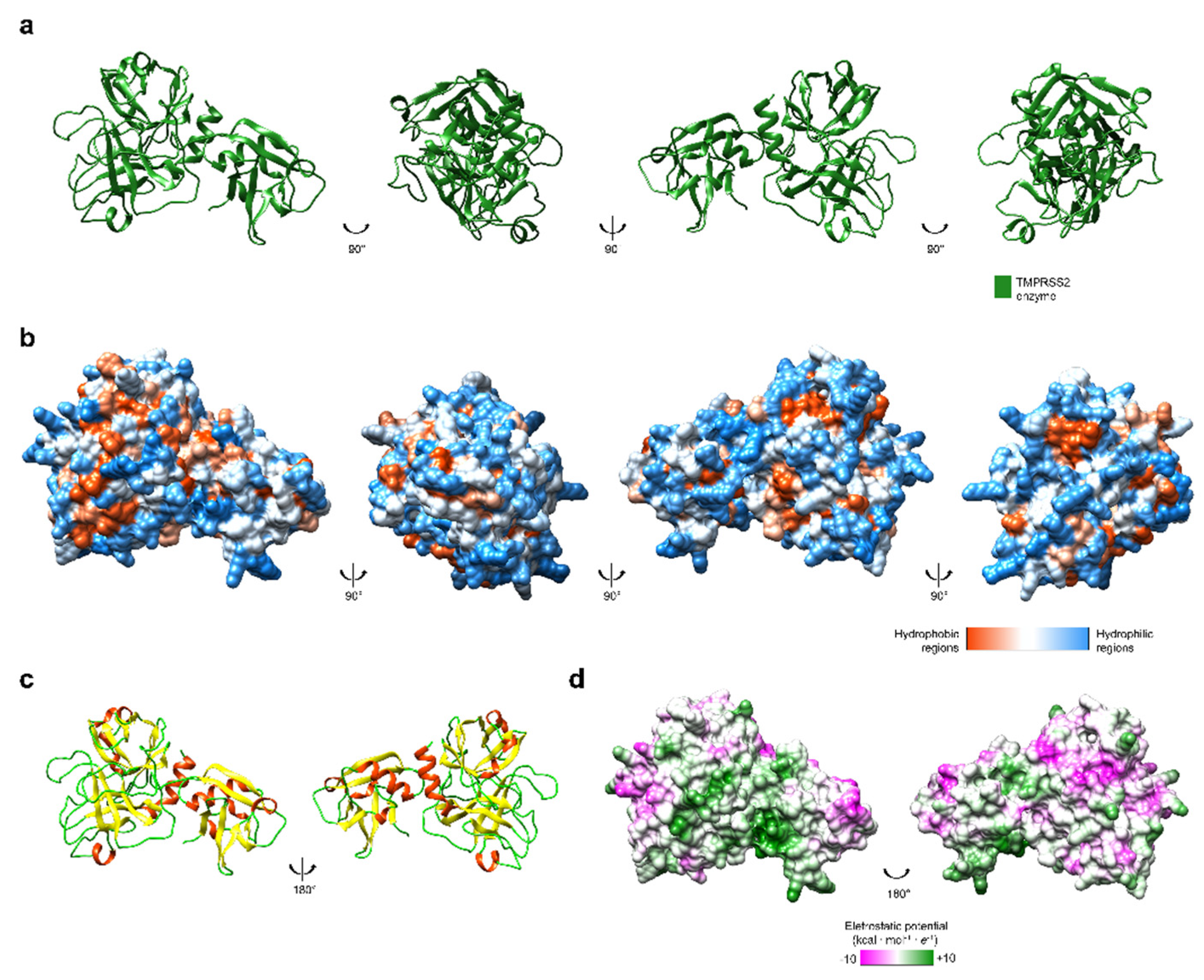 Biologics 01 00011 g002