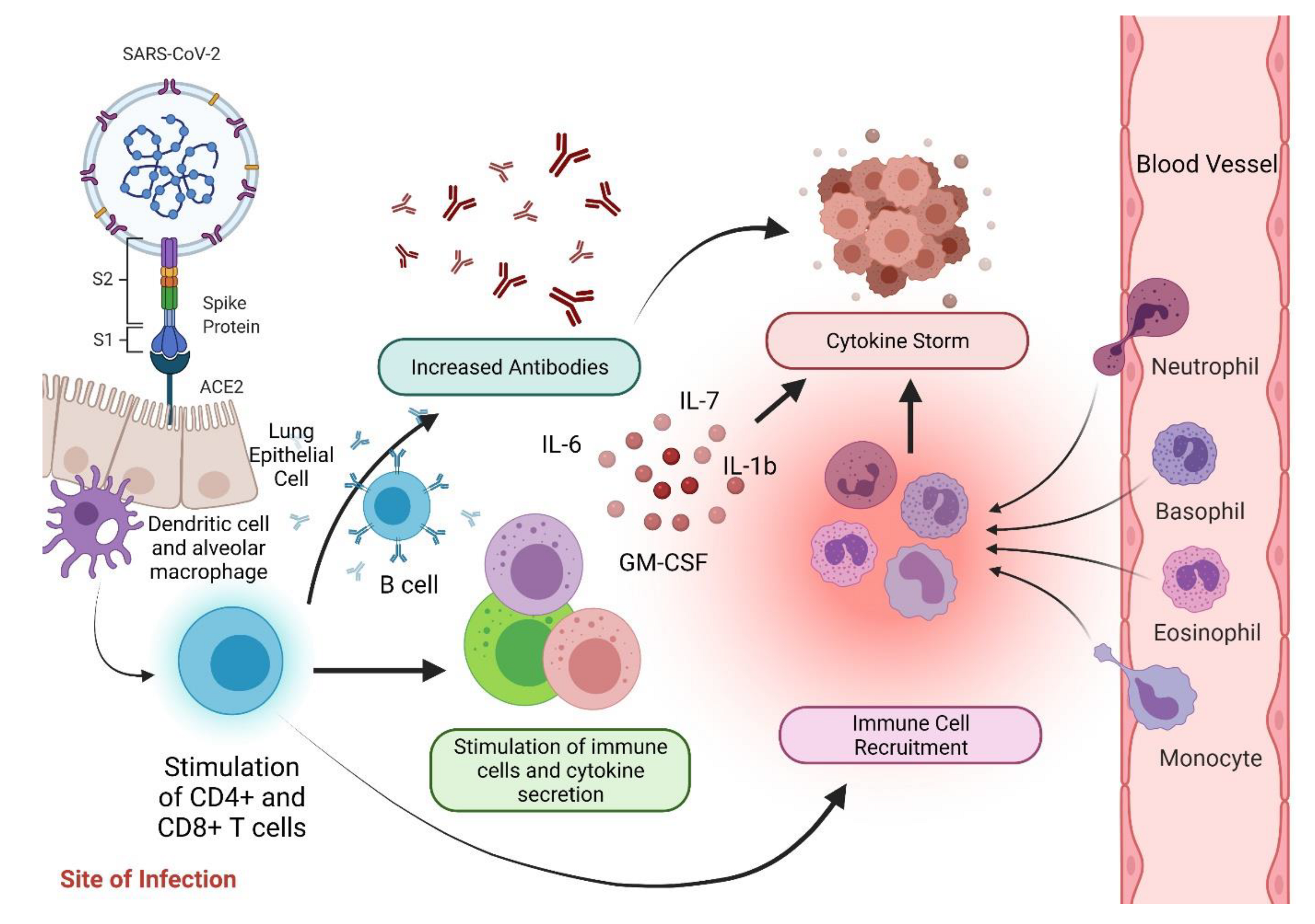 Biologics 01 00020 g002