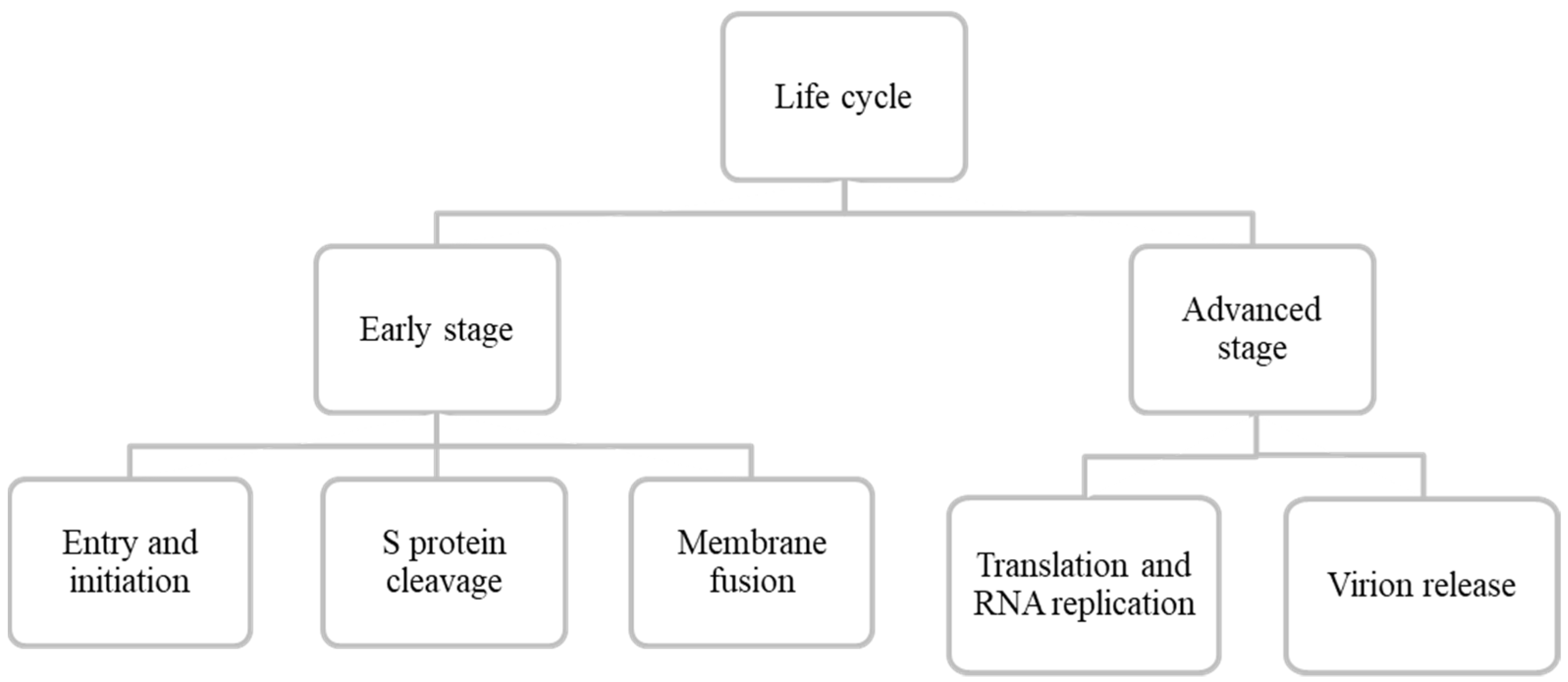 Biologics 01 00021 g003