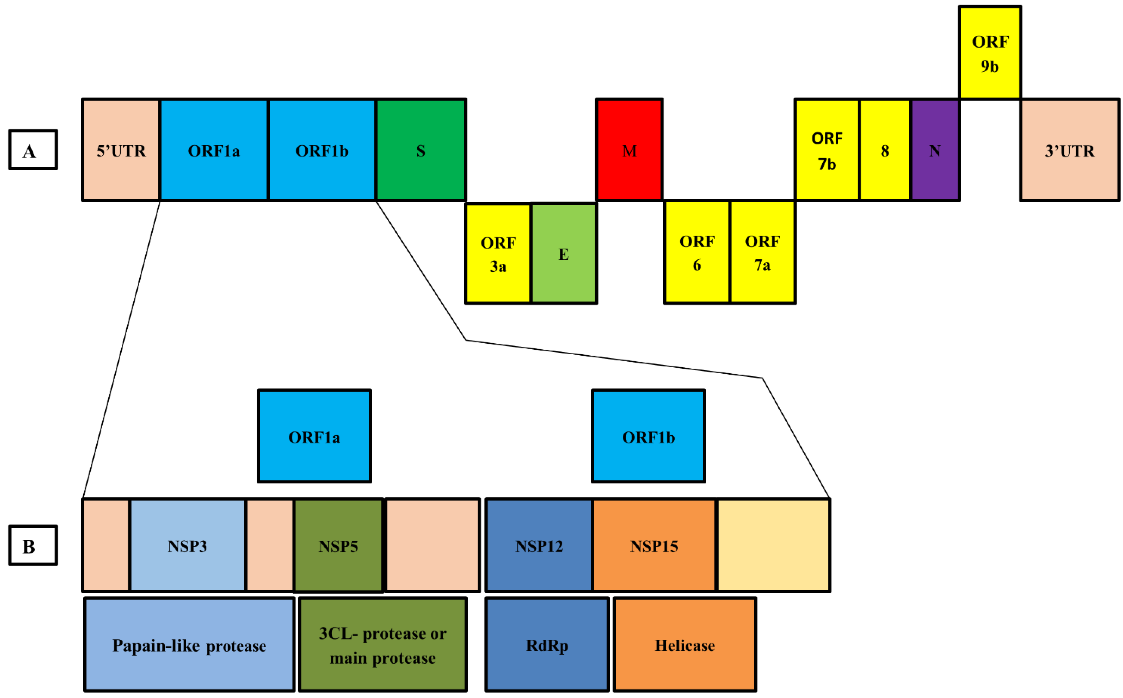 Biologics 01 00021 g005