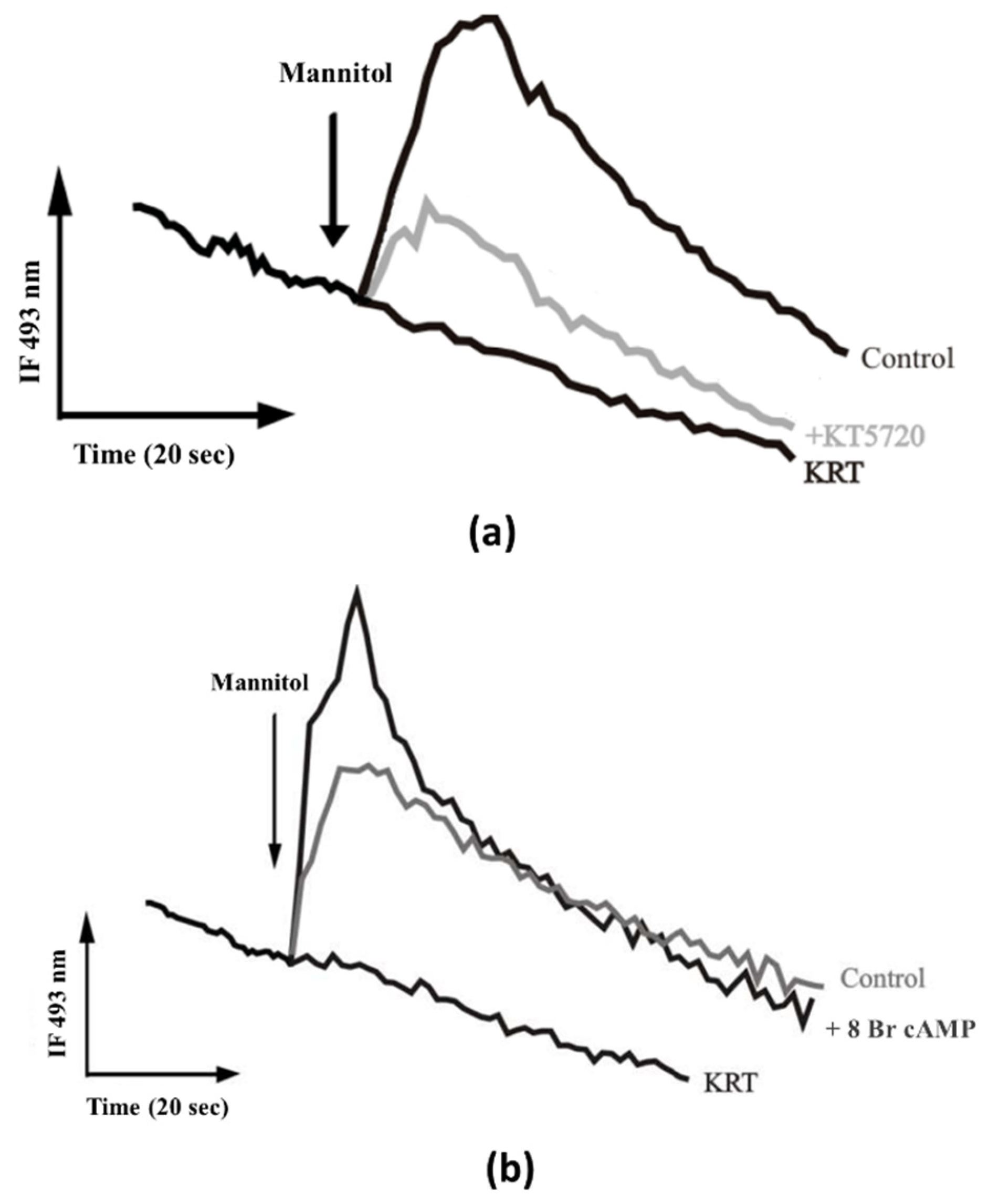 Biologics 01 00022 g002