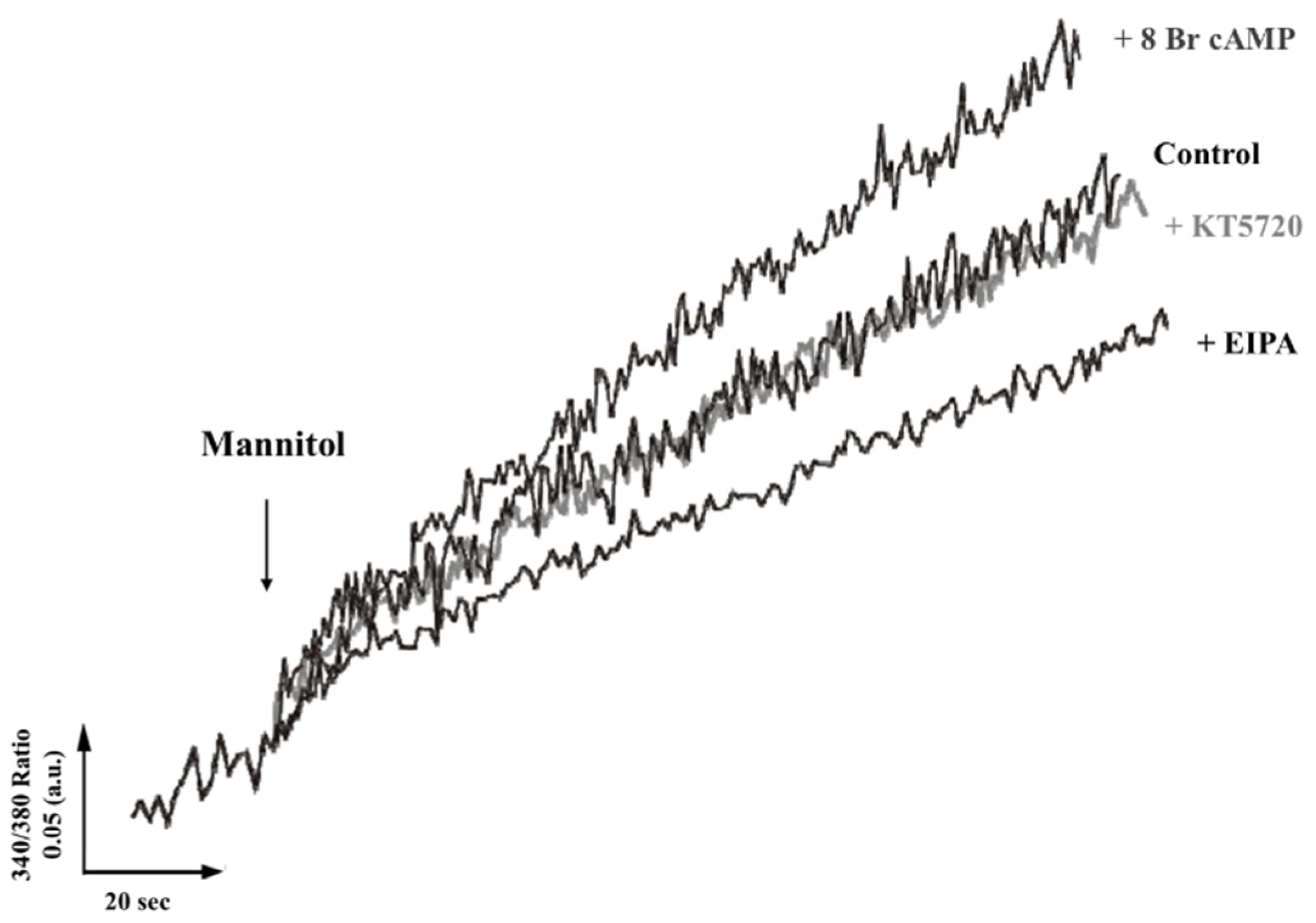 Biologics 01 00022 g003