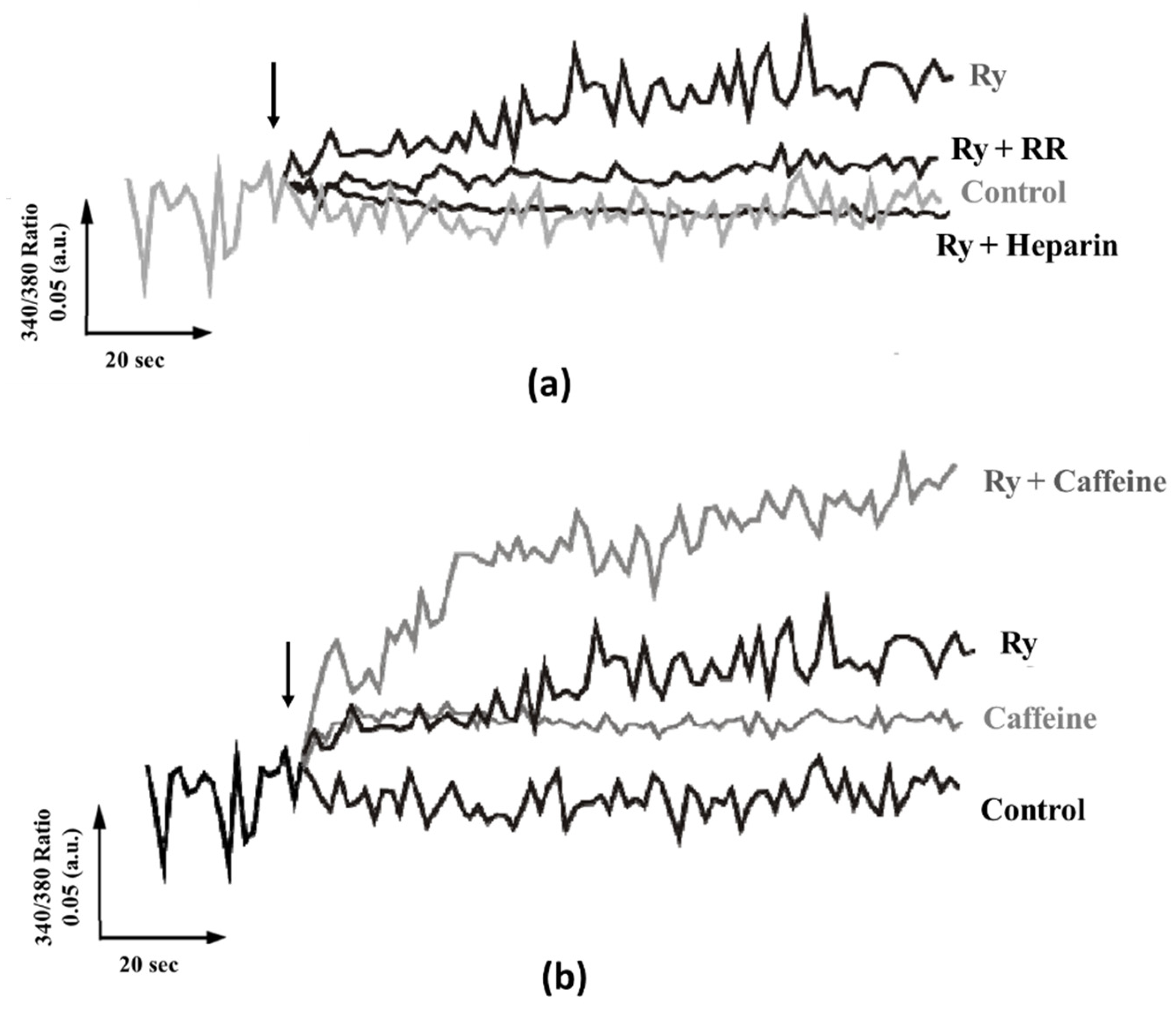 Biologics 01 00022 g005