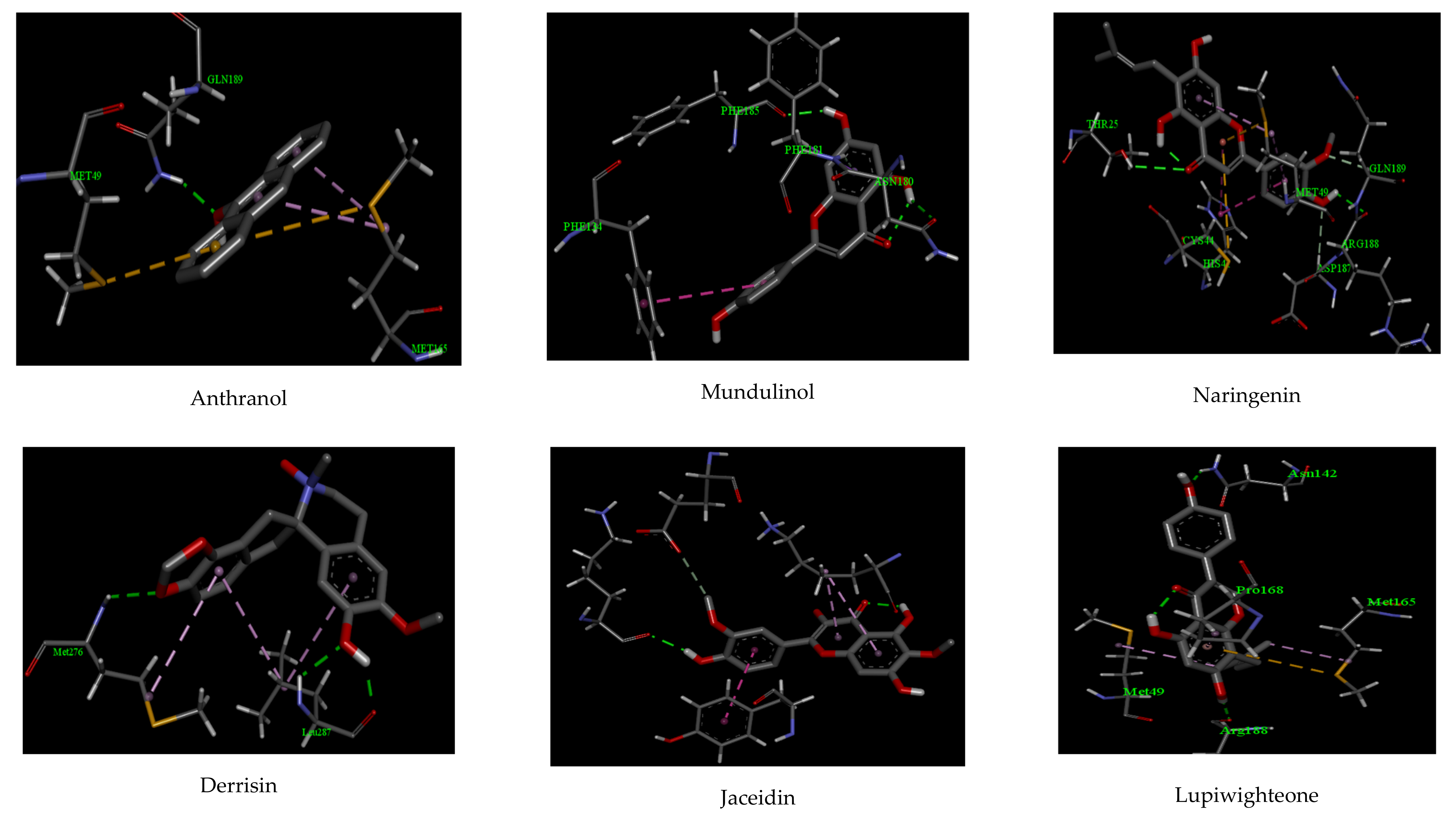 Biologics 01 00024 g001