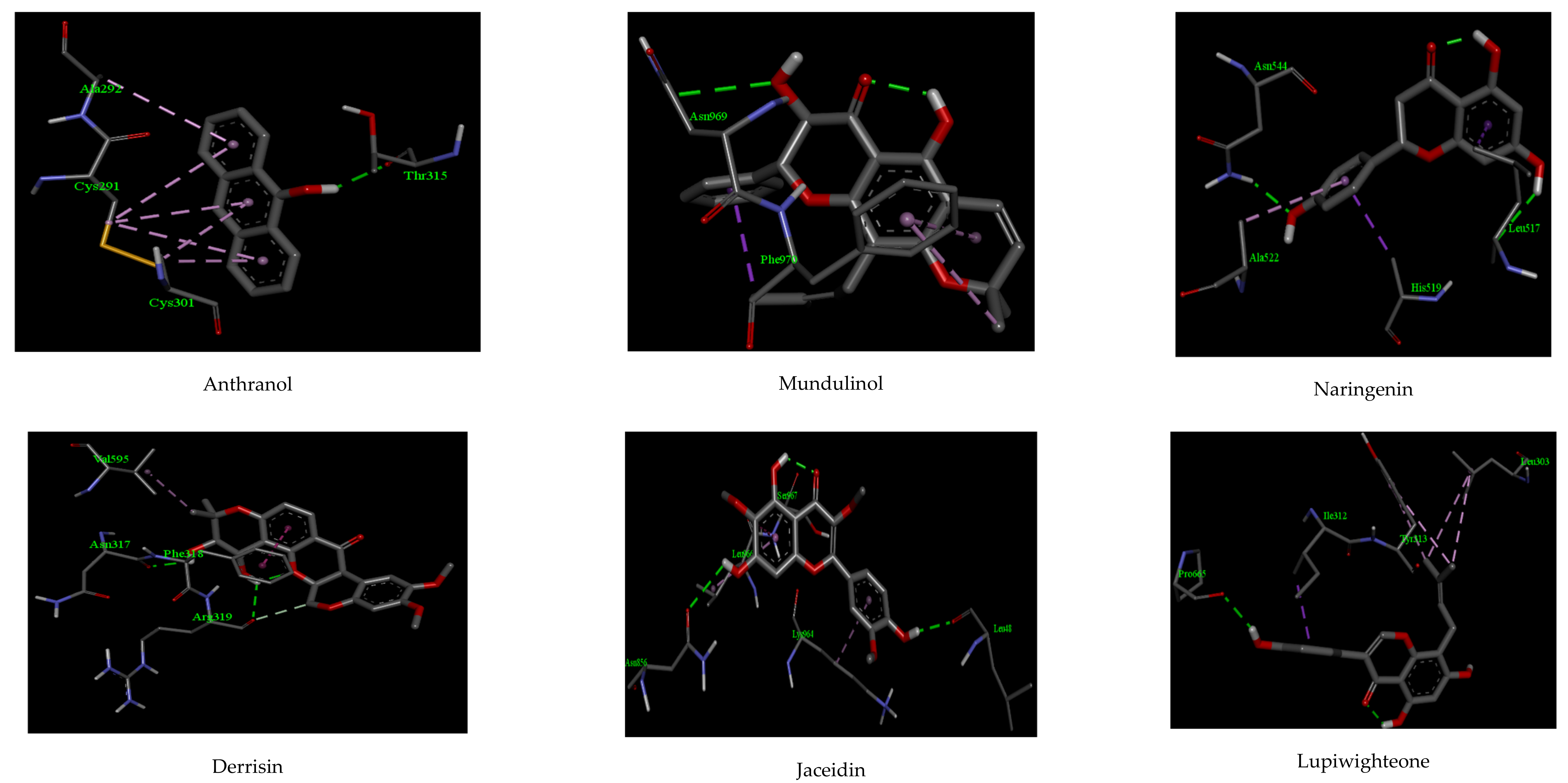 Biologics 01 00024 g003