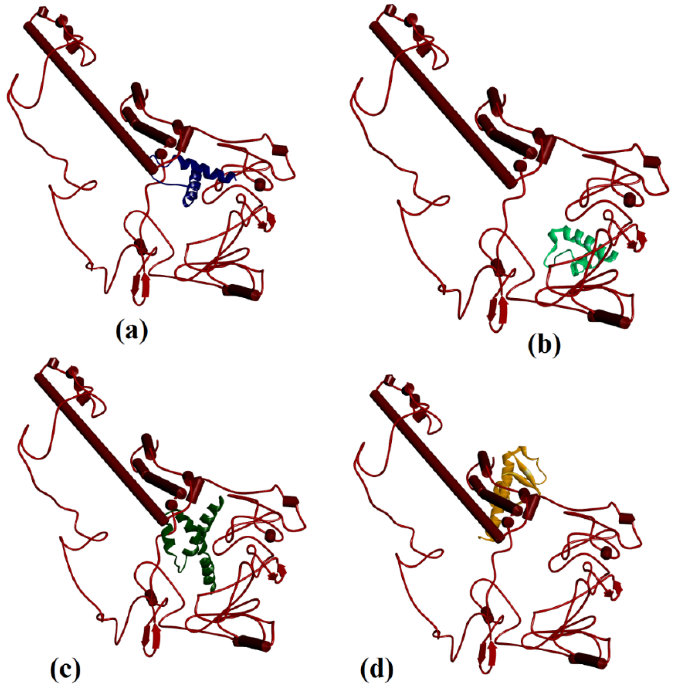 Biologics 02 00003 g003