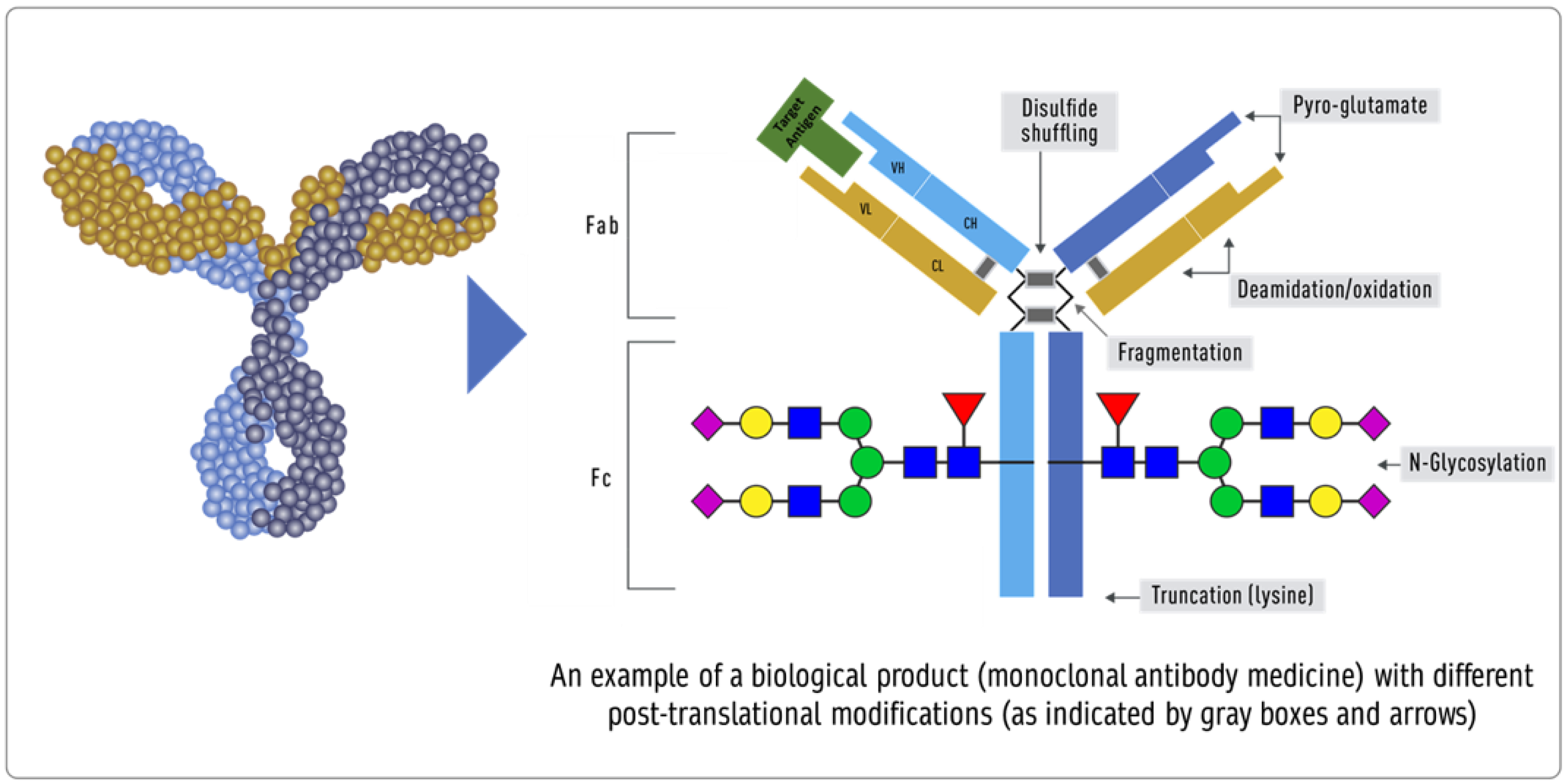 Biologics 02 00009 g003