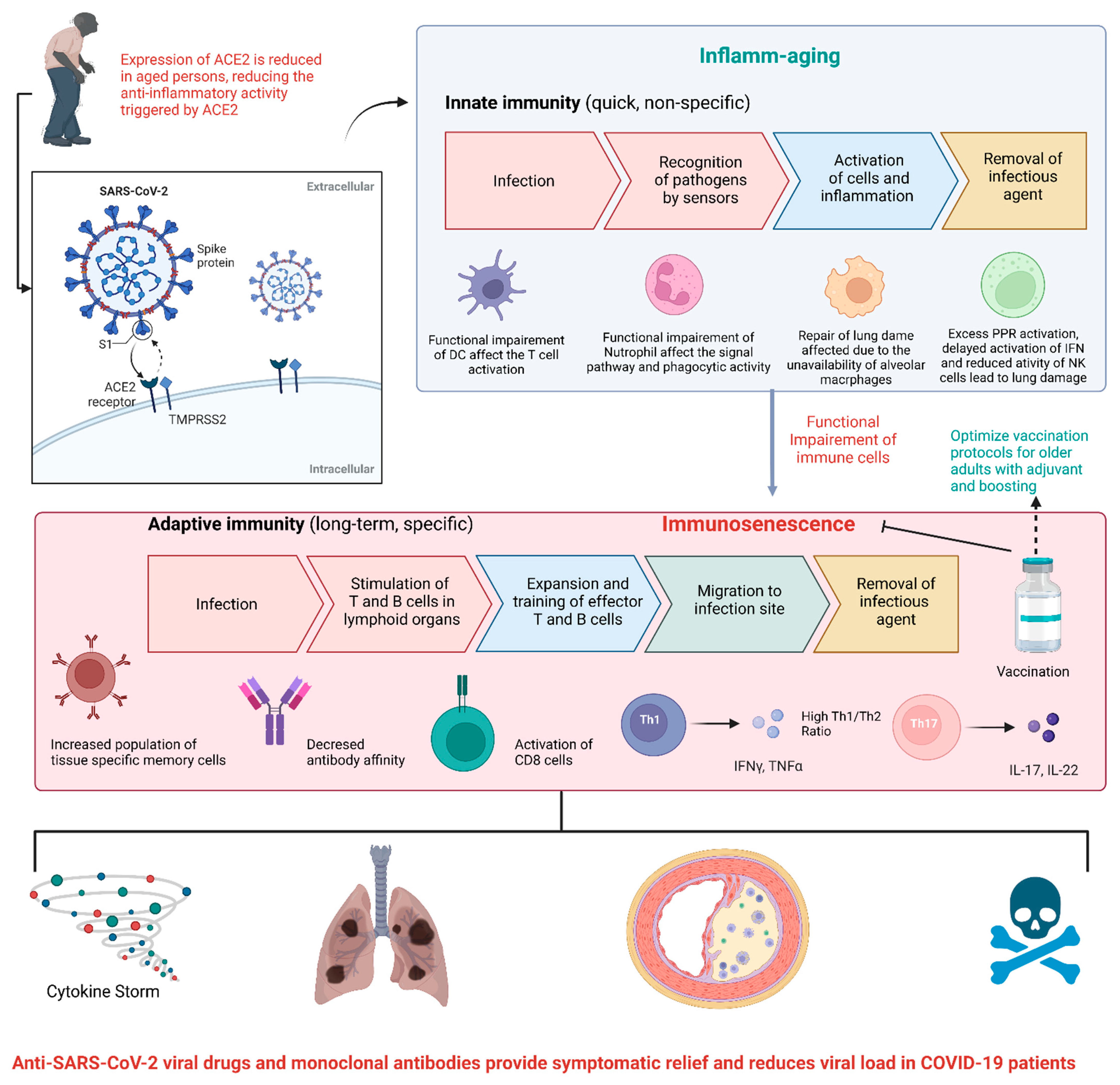 Biologics 02 00013 g001
