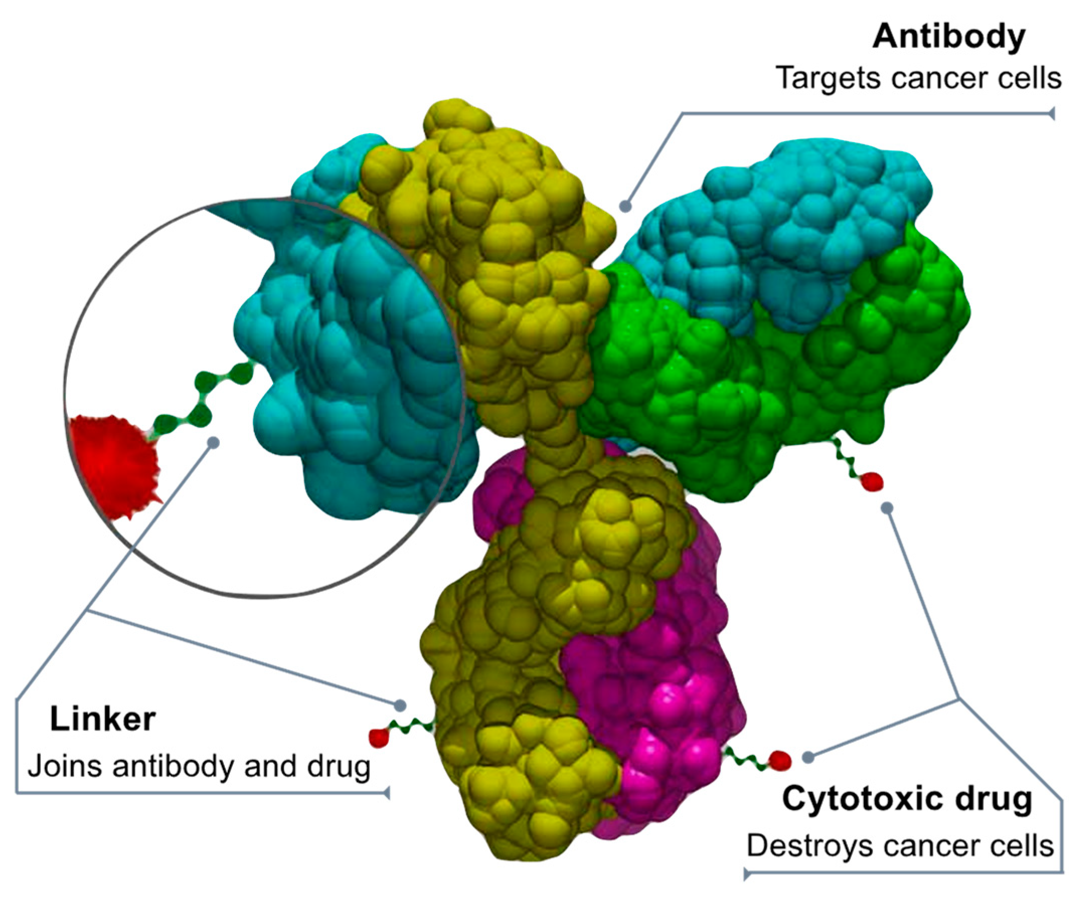 Biologics 03 00005 g004