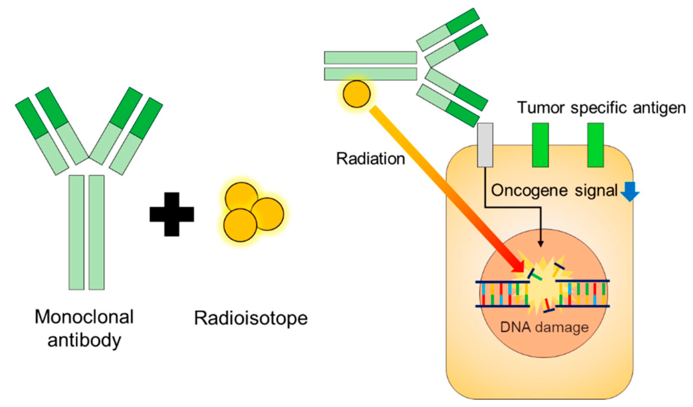 Biologics 03 00005 g005