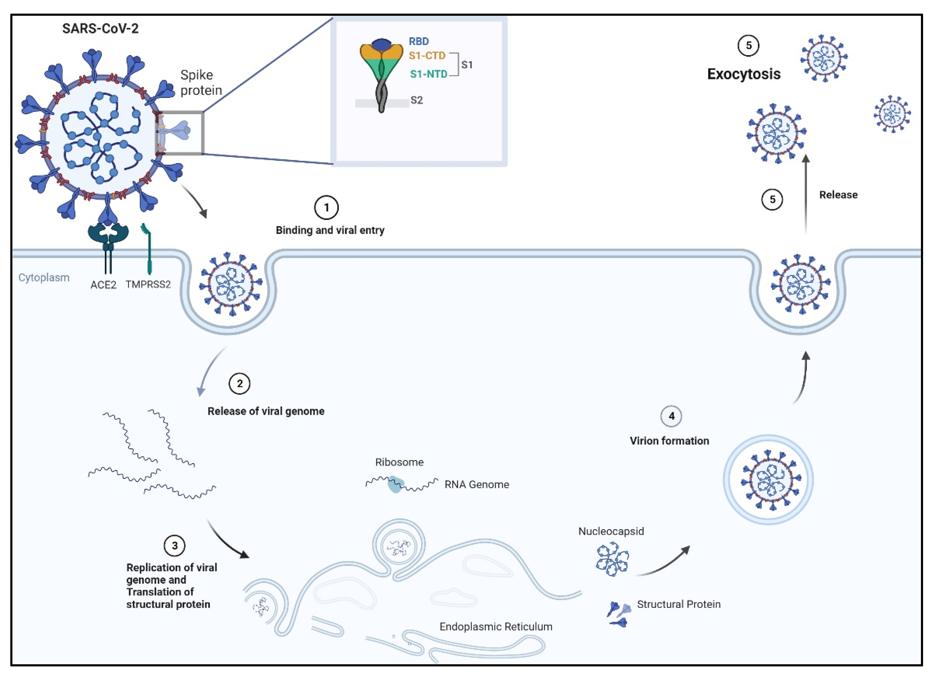Biologics 03 00007 g001 Biologics 03 00007 g001