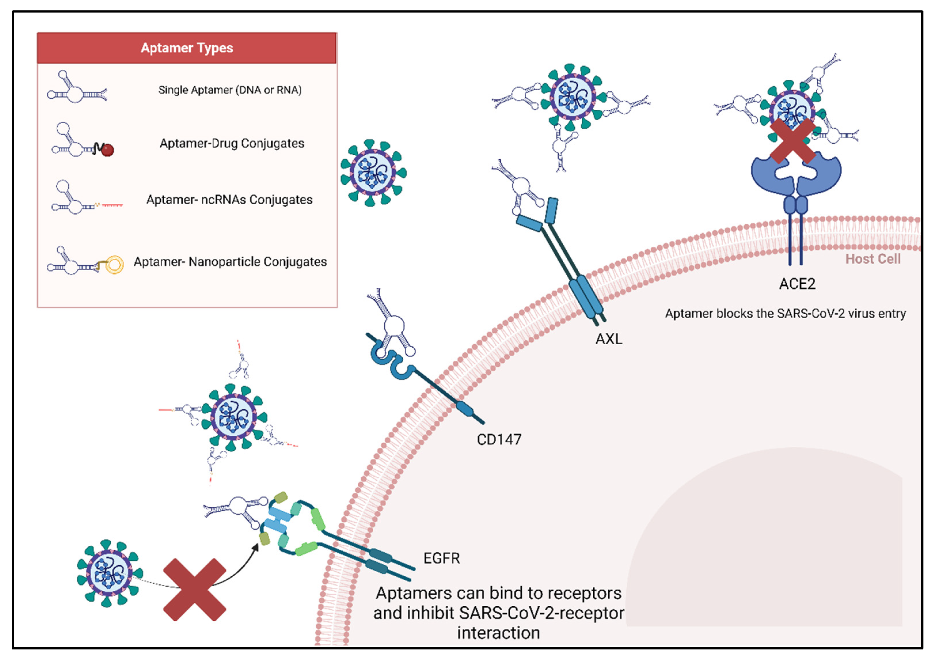 Biologics 03 00007 g003 Biologics 03 00007 g003