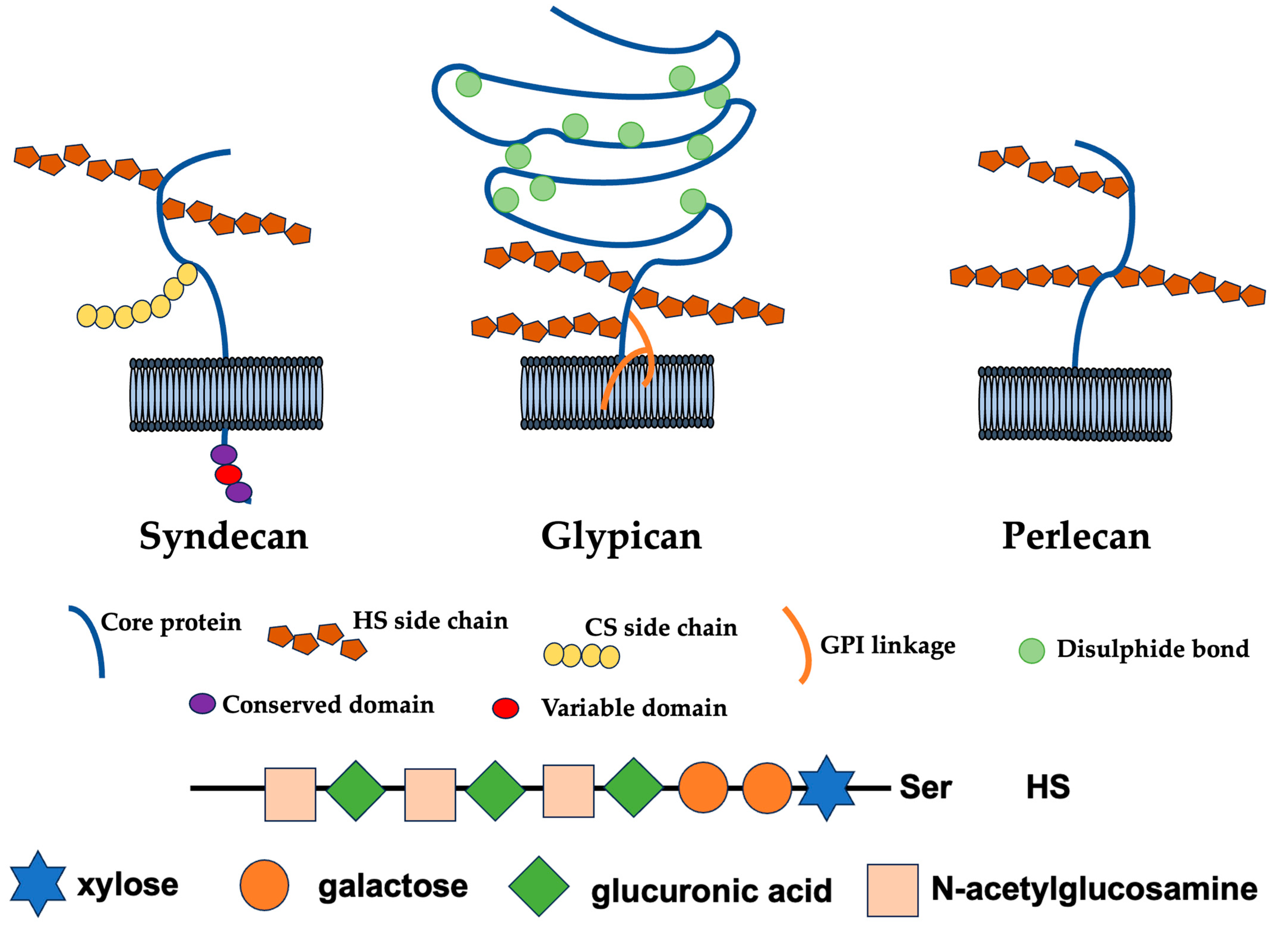 Biologics 04 00008 g001