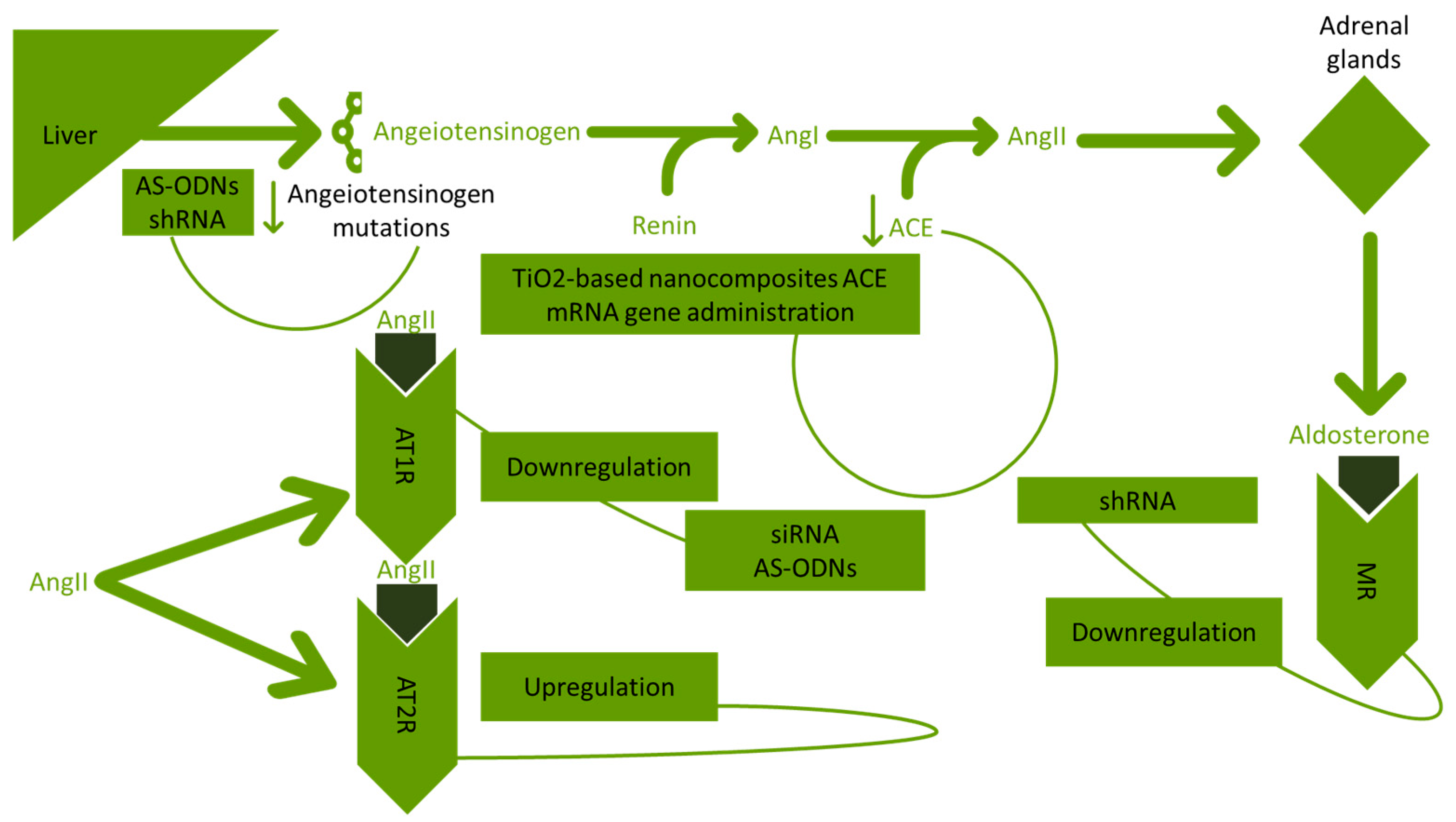 Biologics 04 00010 g002