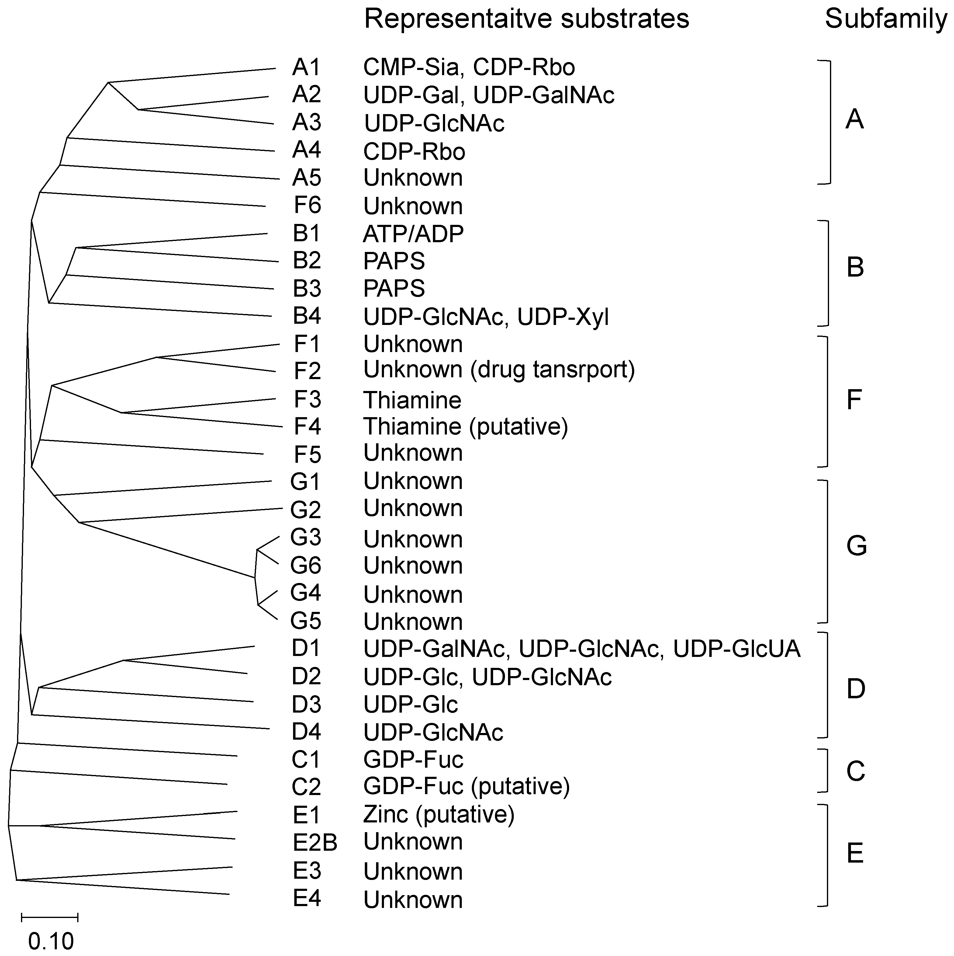 Biologics 04 00017 g001