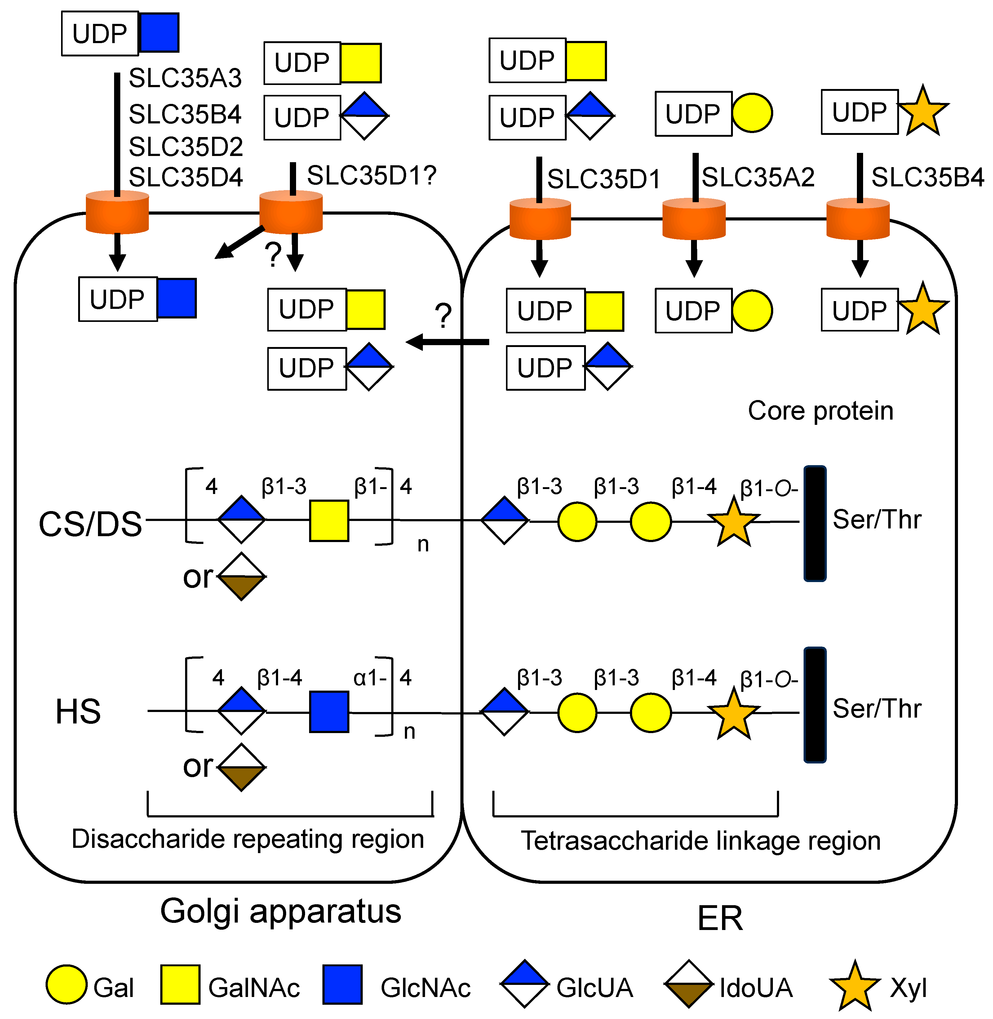 Biologics 04 00017 g005