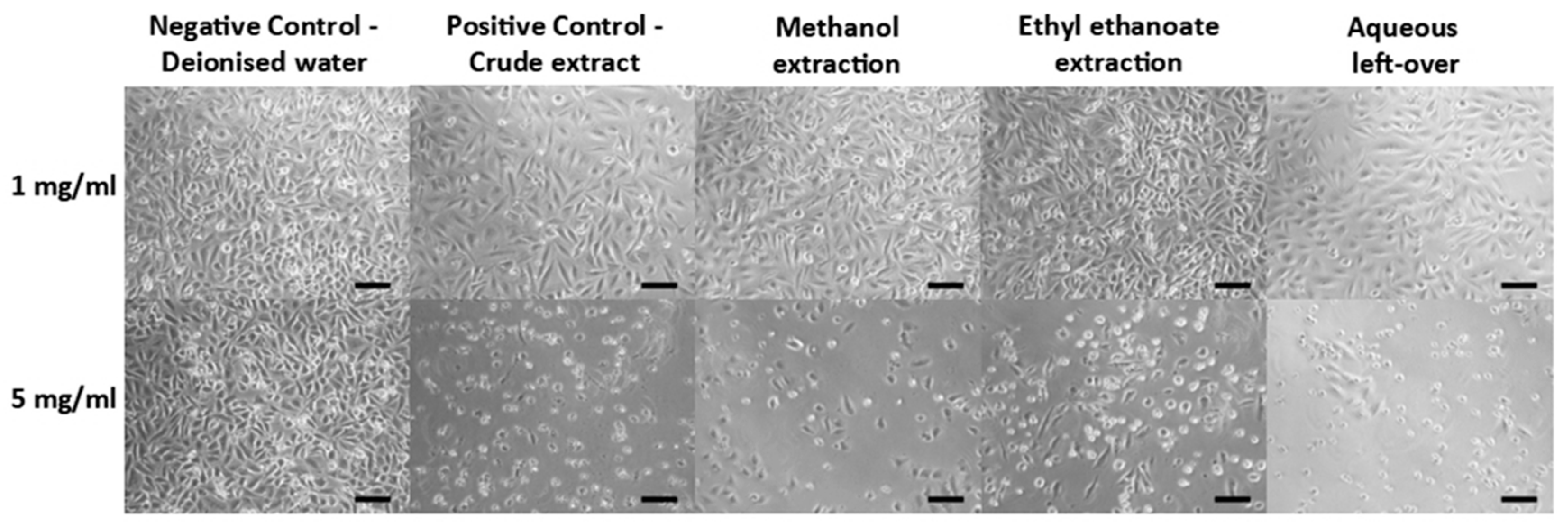 Biologics 05 00002 g005