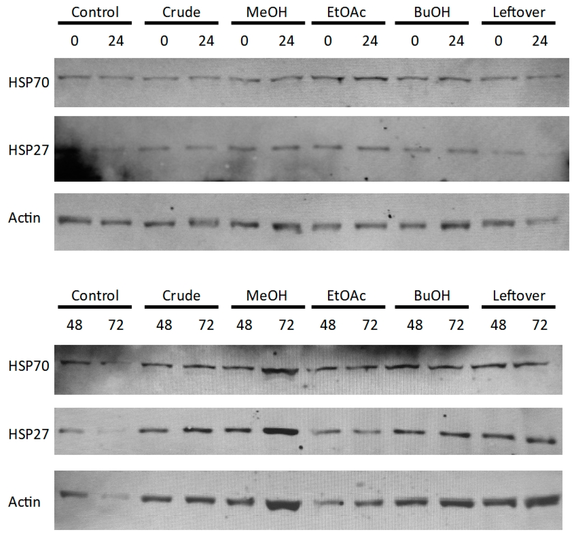 Biologics 05 00002 g008