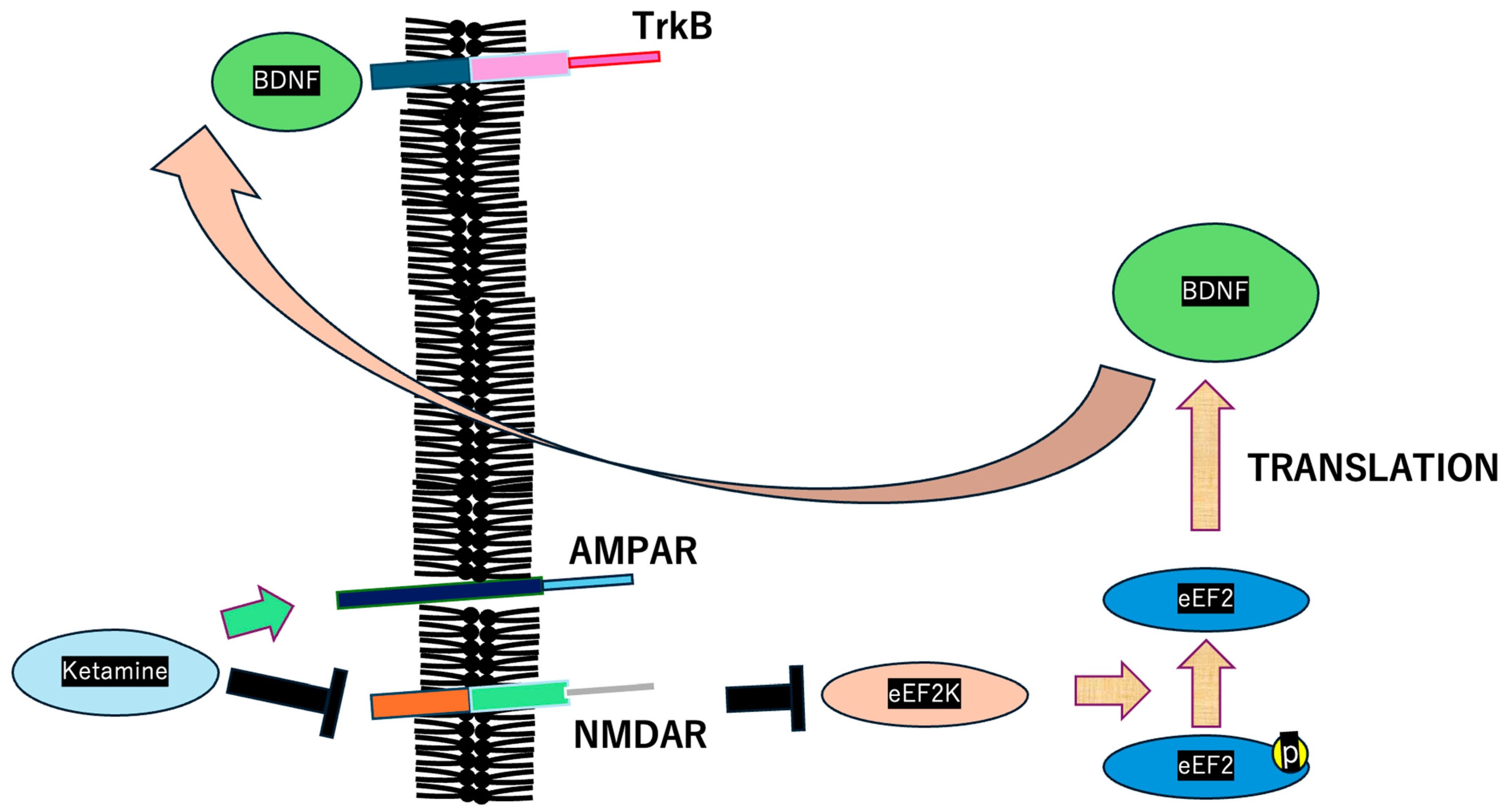 Biologics 05 00007 g001
