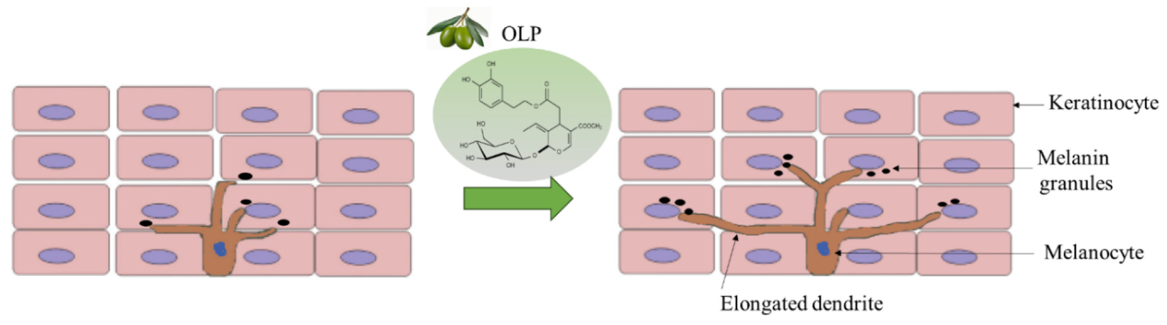 Biologics 05 00008 g008