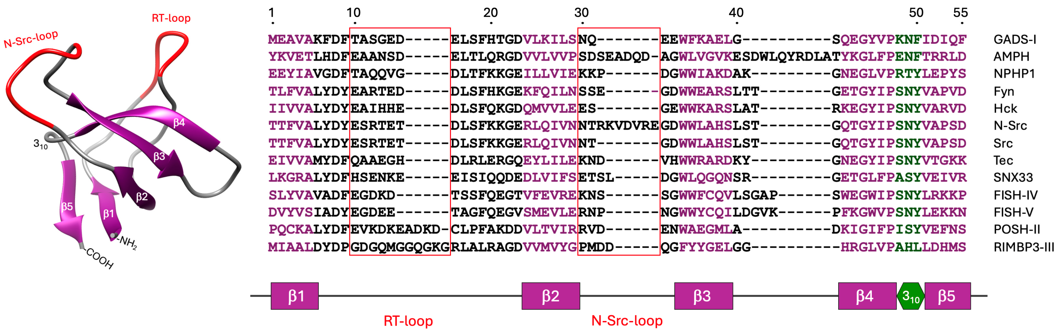 Biologics 05 00013 g002