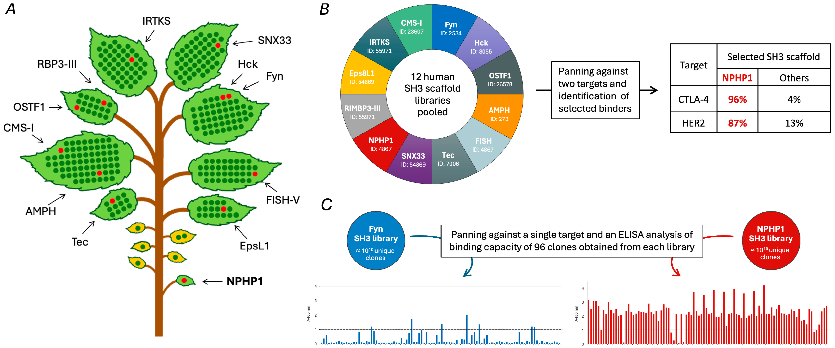 Biologics 05 00013 g003
