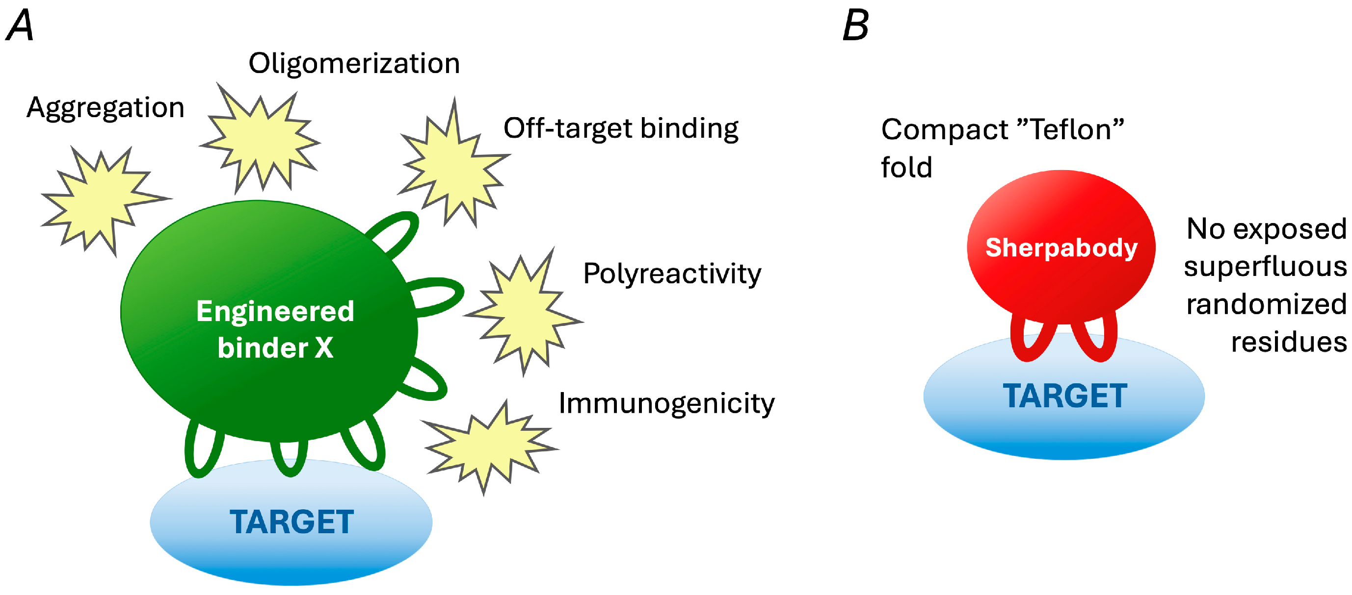 Biologics 05 00013 g005