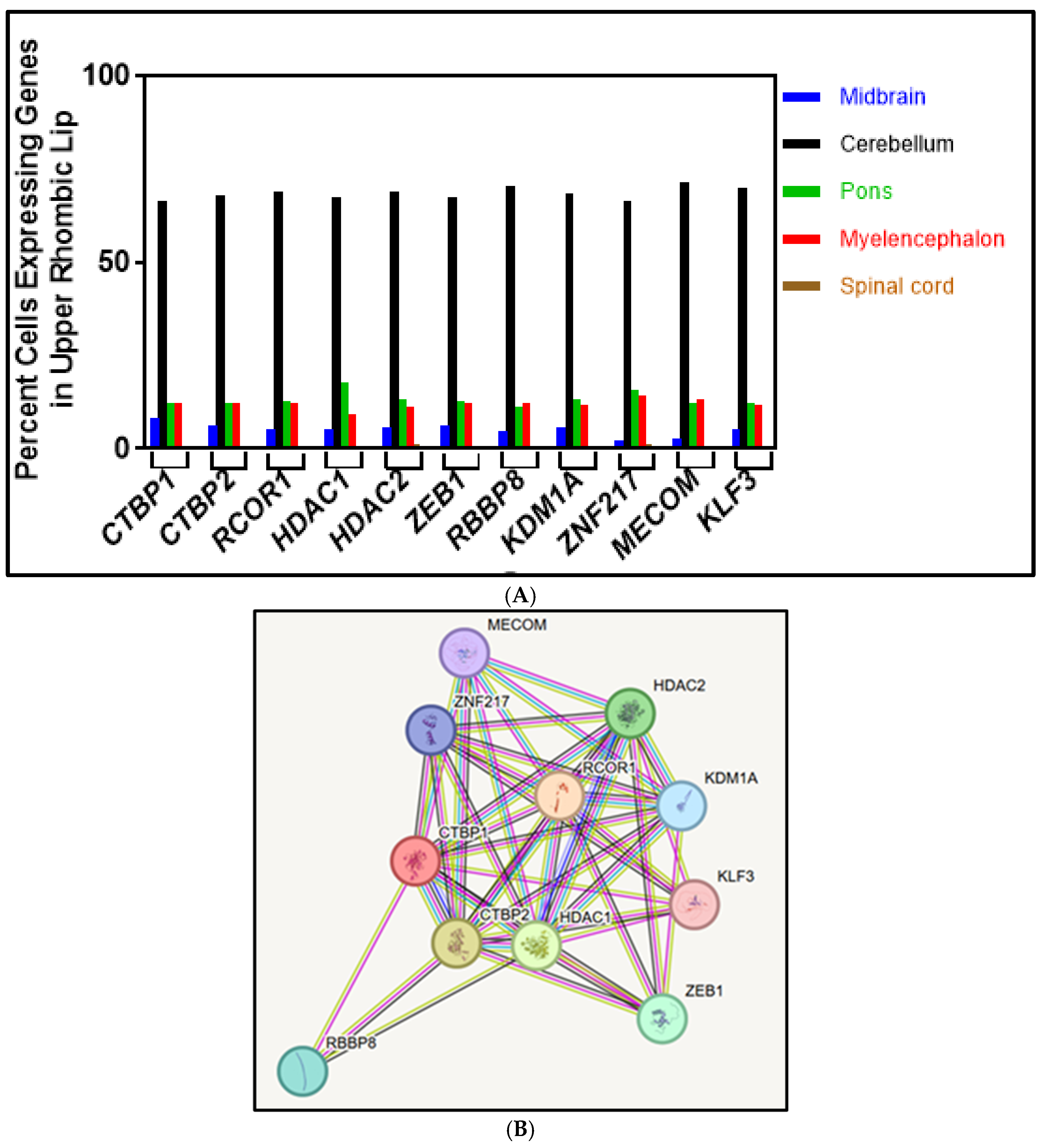 Biologics 05 00014 g002