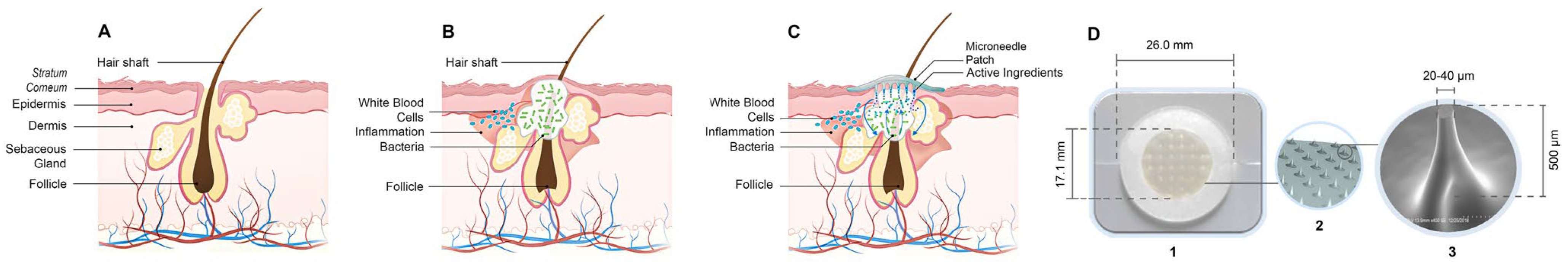 Biologics 05 00015 g001