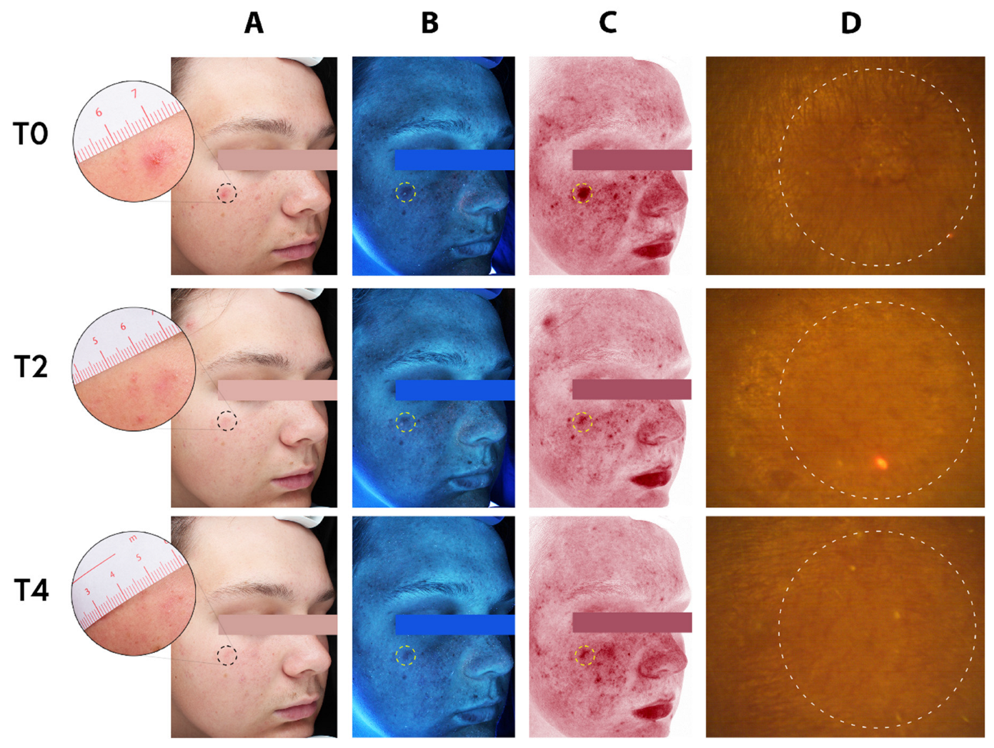 Biologics 05 00015 g005